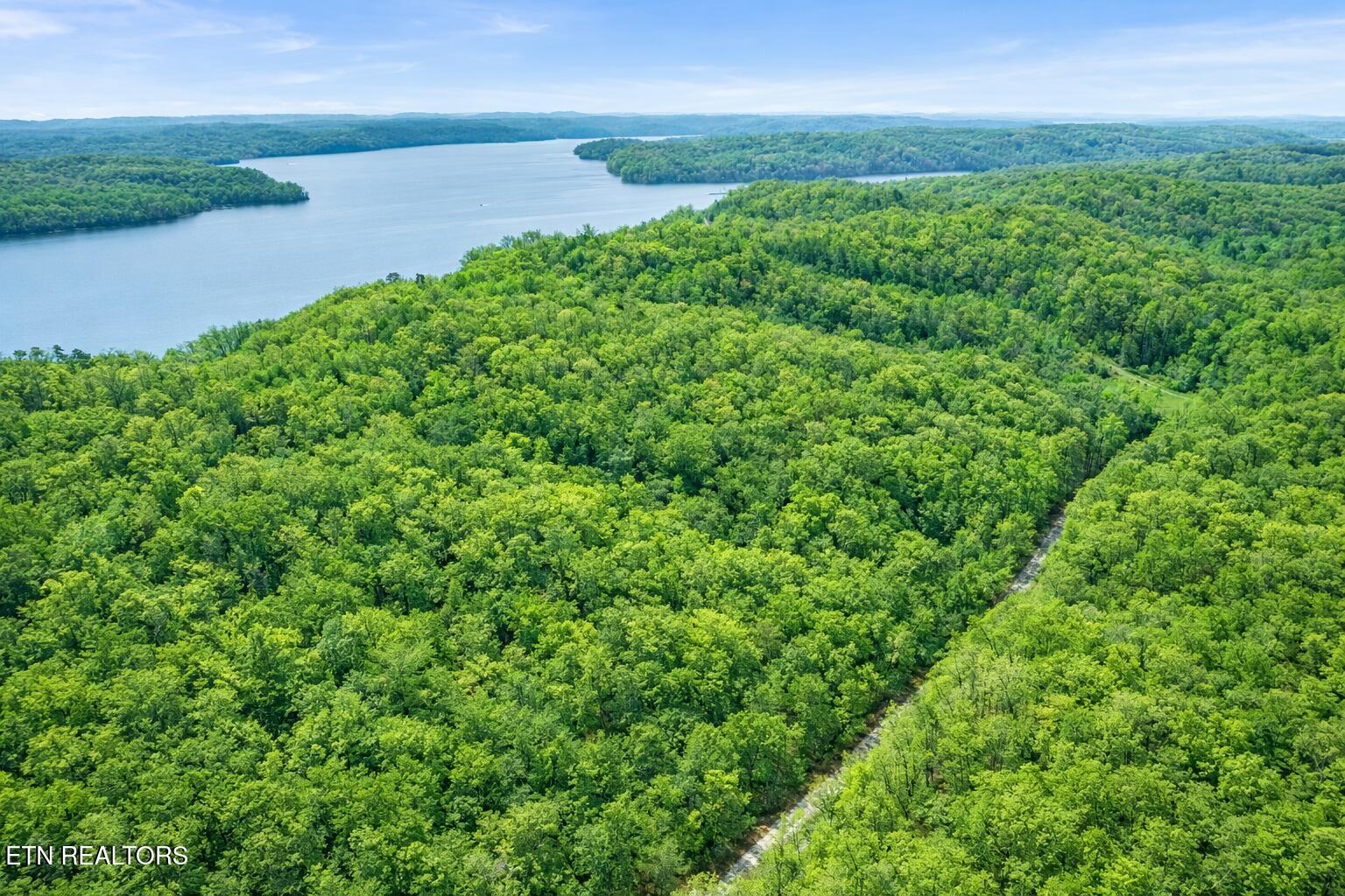 Hidden Oaks Road Rockwood TN 37854