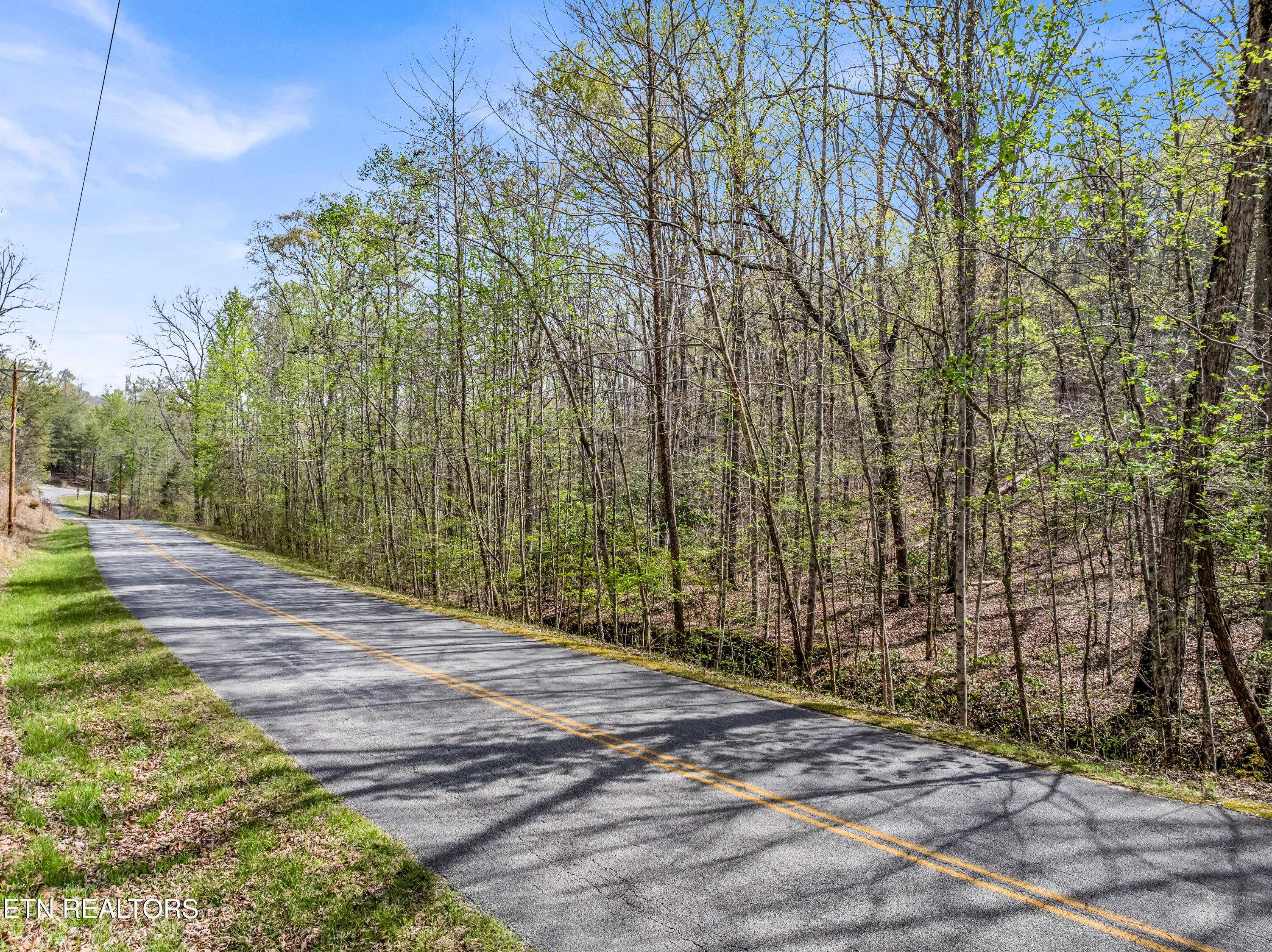 Hidden Oaks Road Rockwood TN 37854