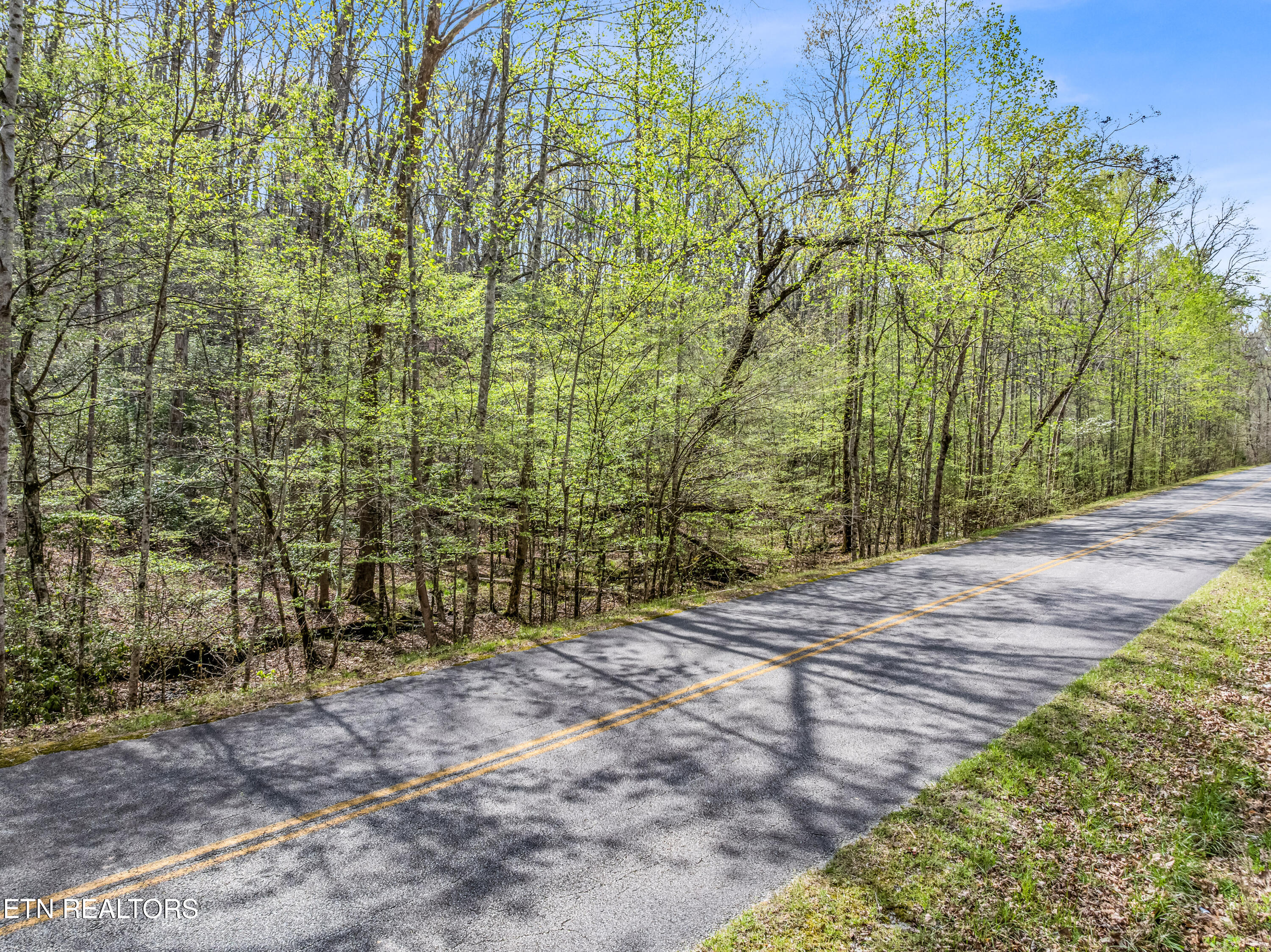 Hidden Oaks Road Rockwood TN 37854