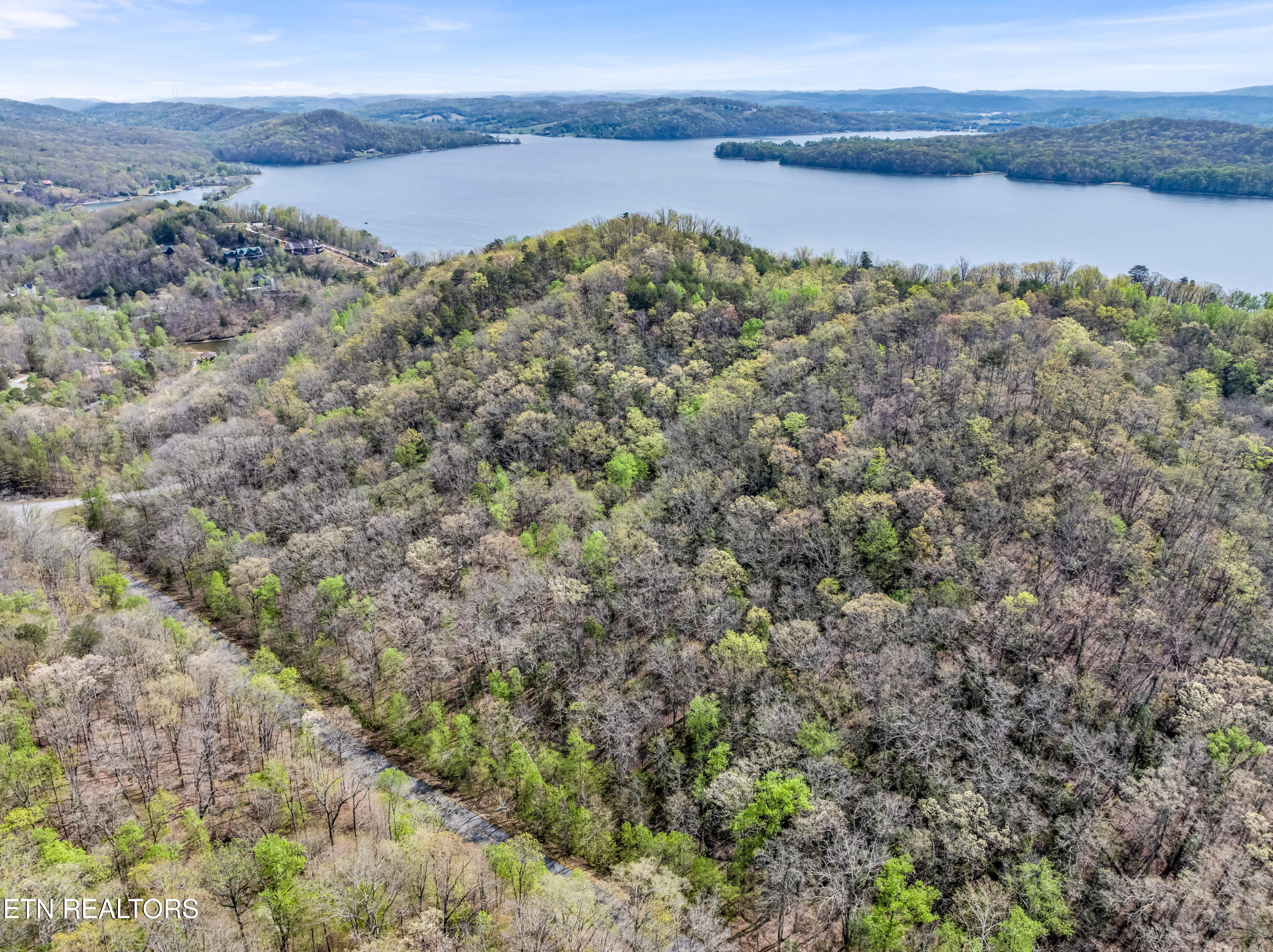 Hidden Oaks Road Rockwood TN 37854