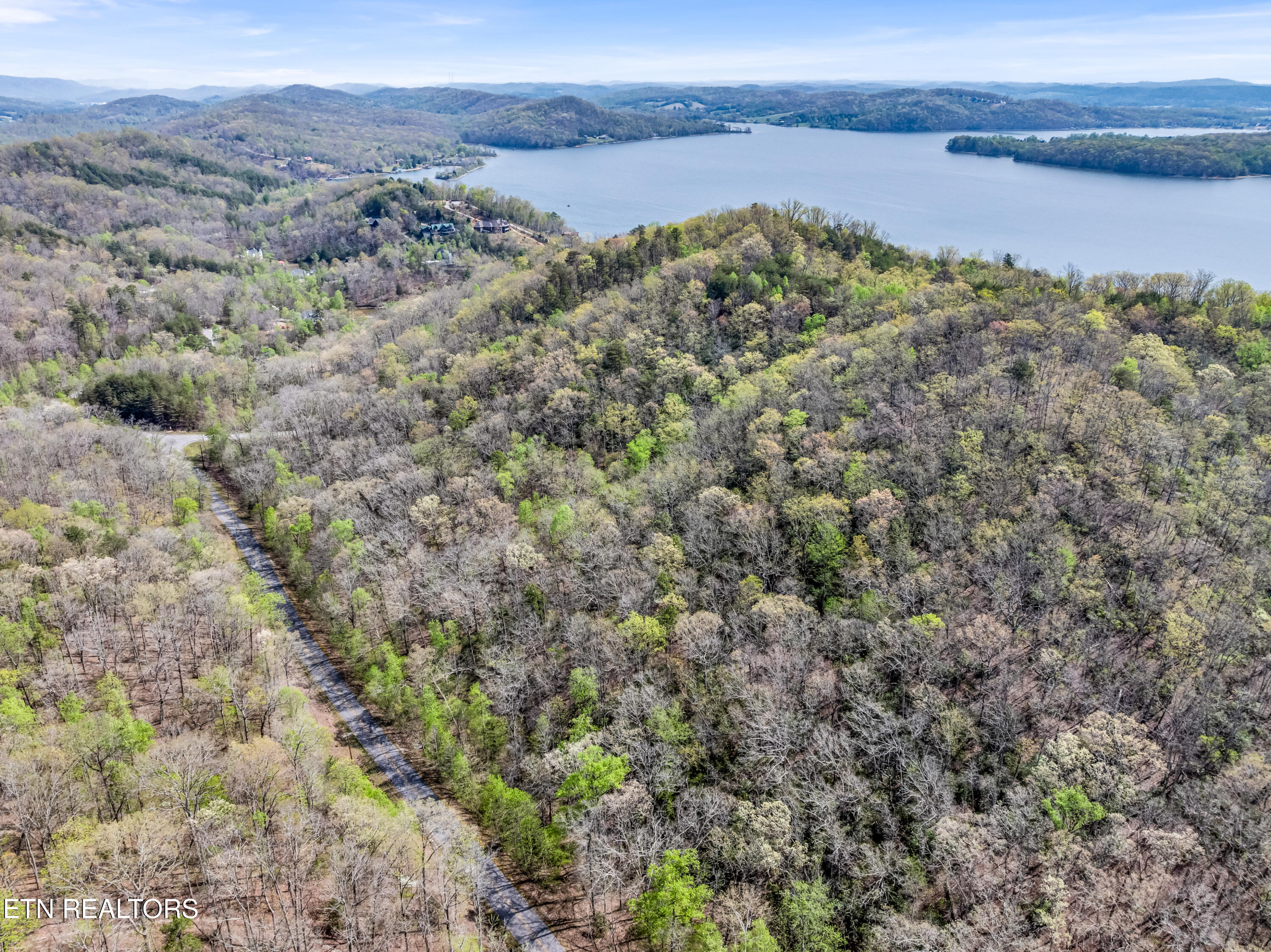 Hidden Oaks Road Rockwood TN 37854