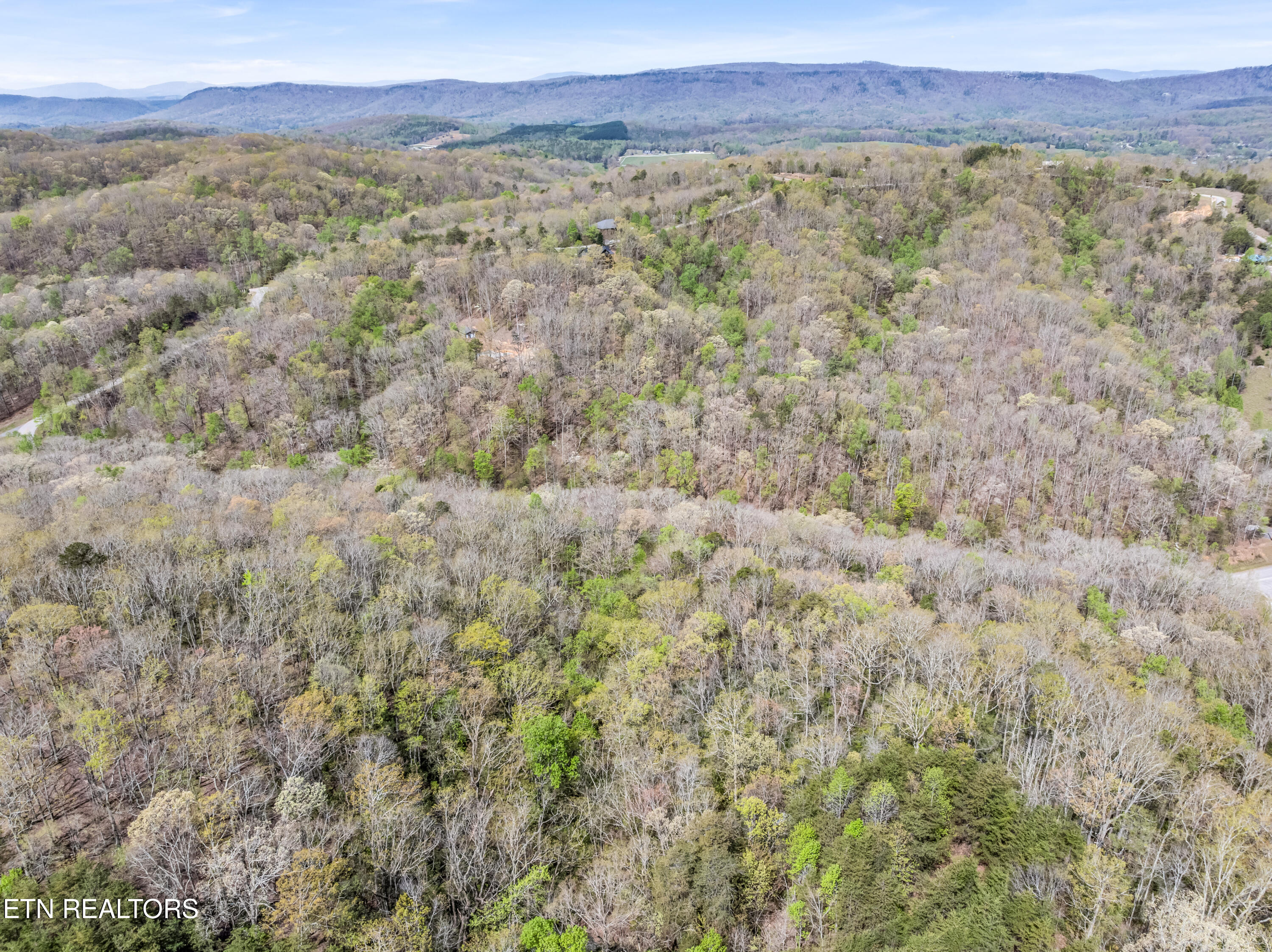 Hidden Oaks Road Rockwood TN 37854