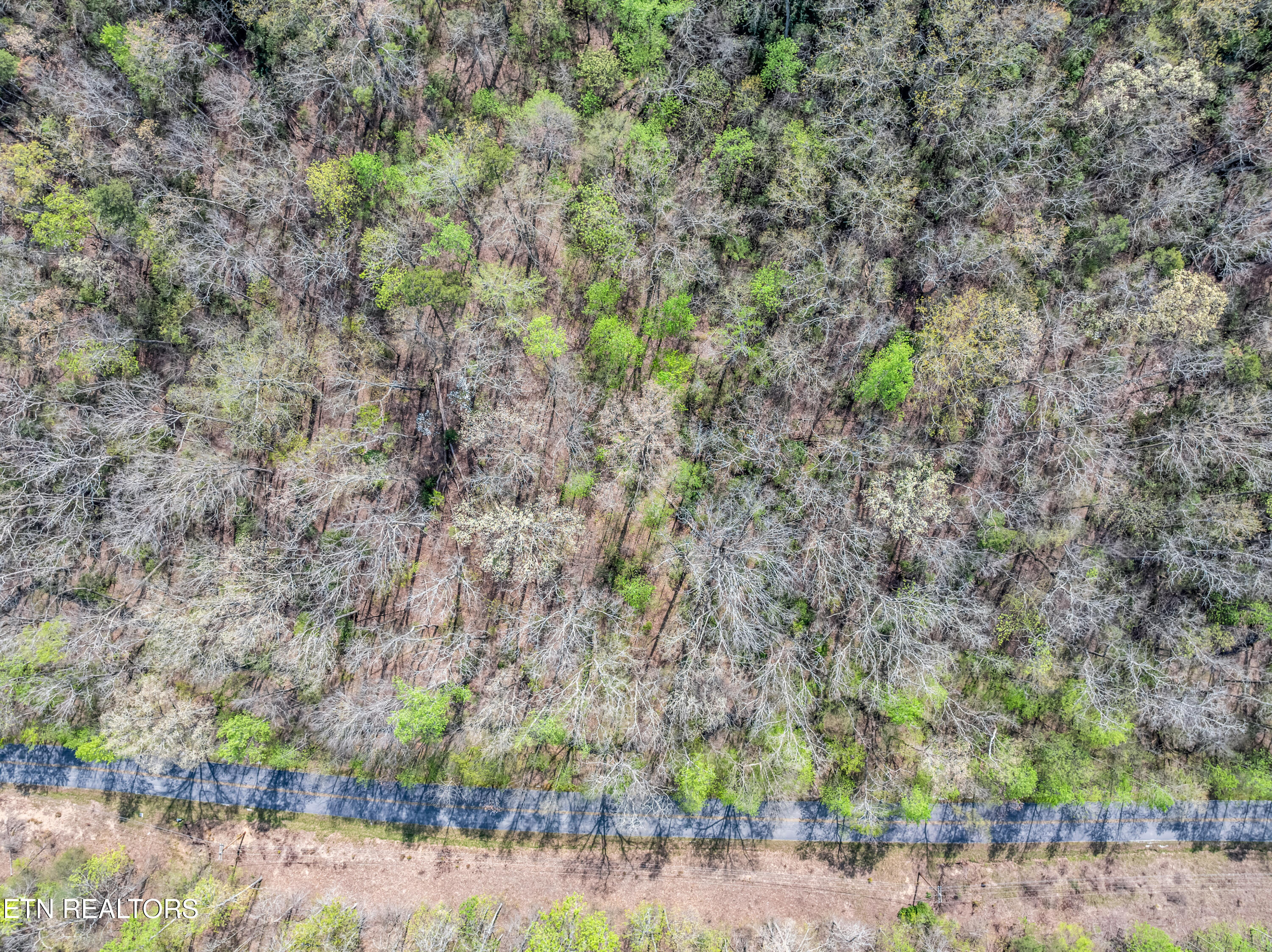 Hidden Oaks Road Rockwood TN 37854