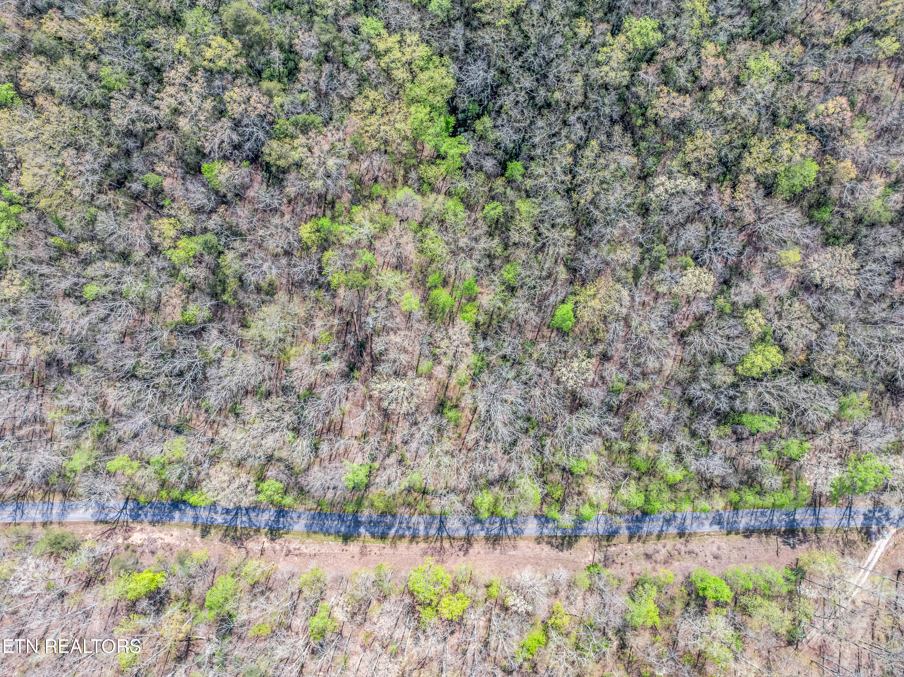 Hidden Oaks Road Rockwood TN 37854