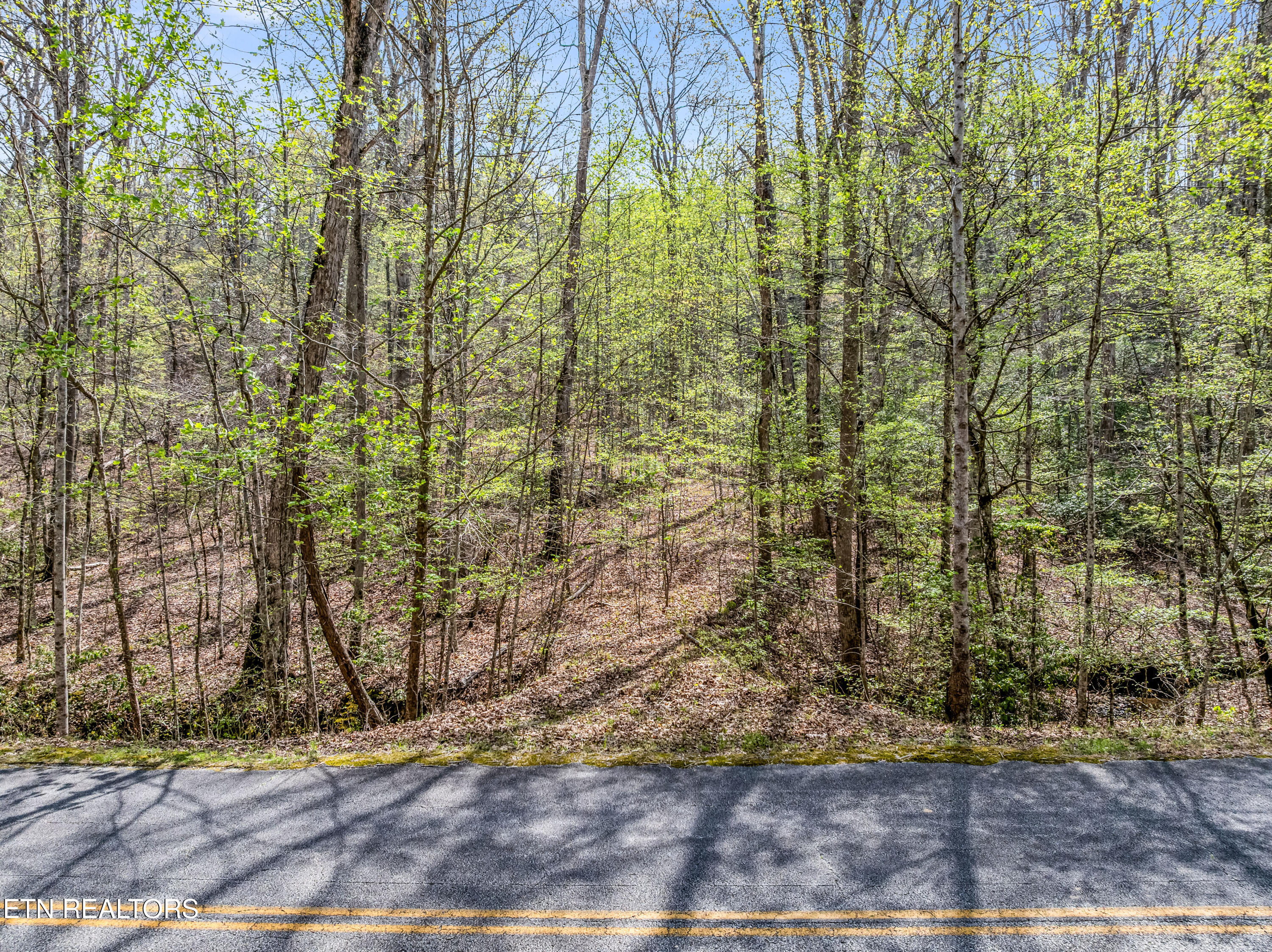 Hidden Oaks Road Rockwood TN 37854