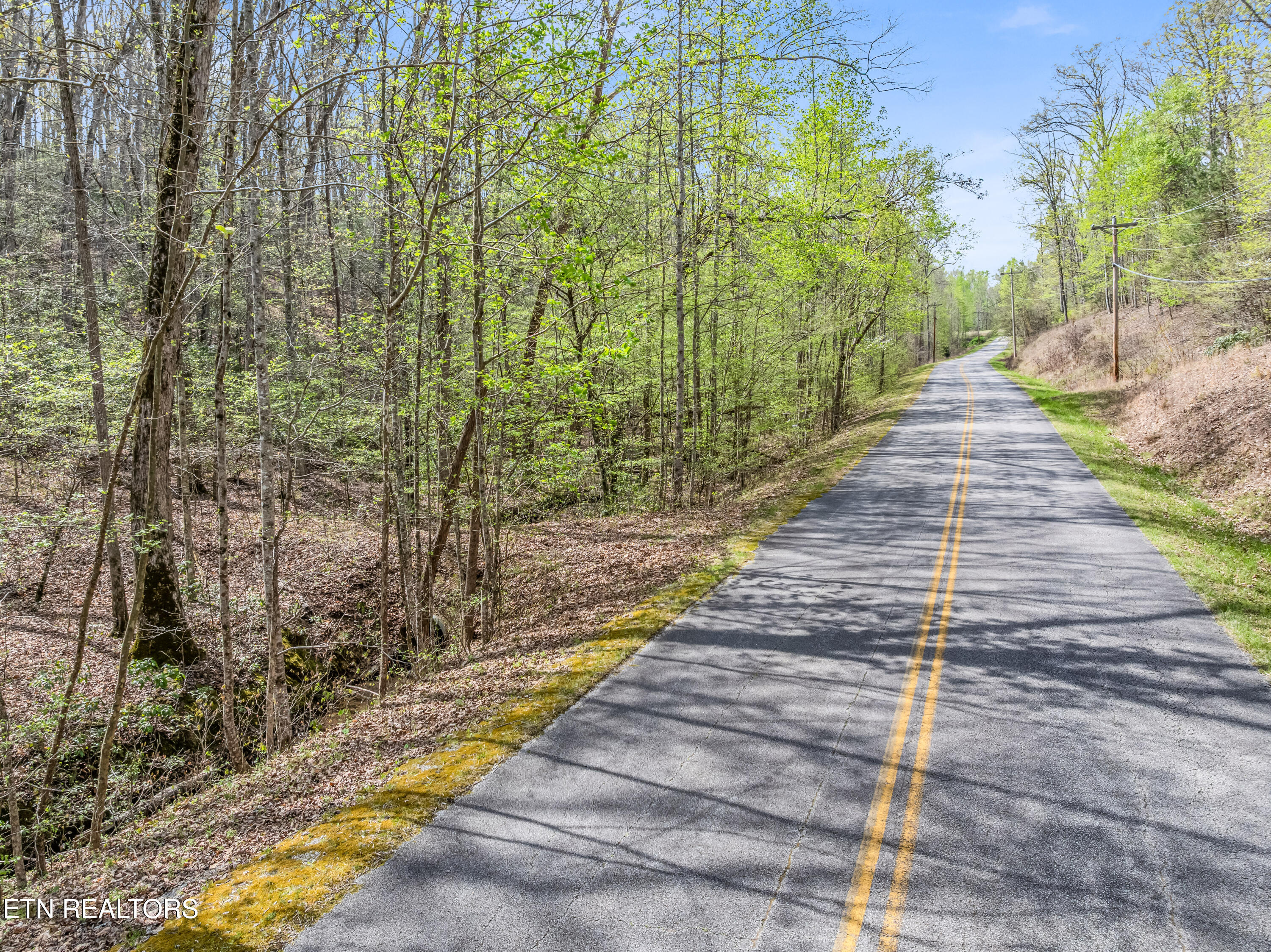 Hidden Oaks Road Rockwood TN 37854