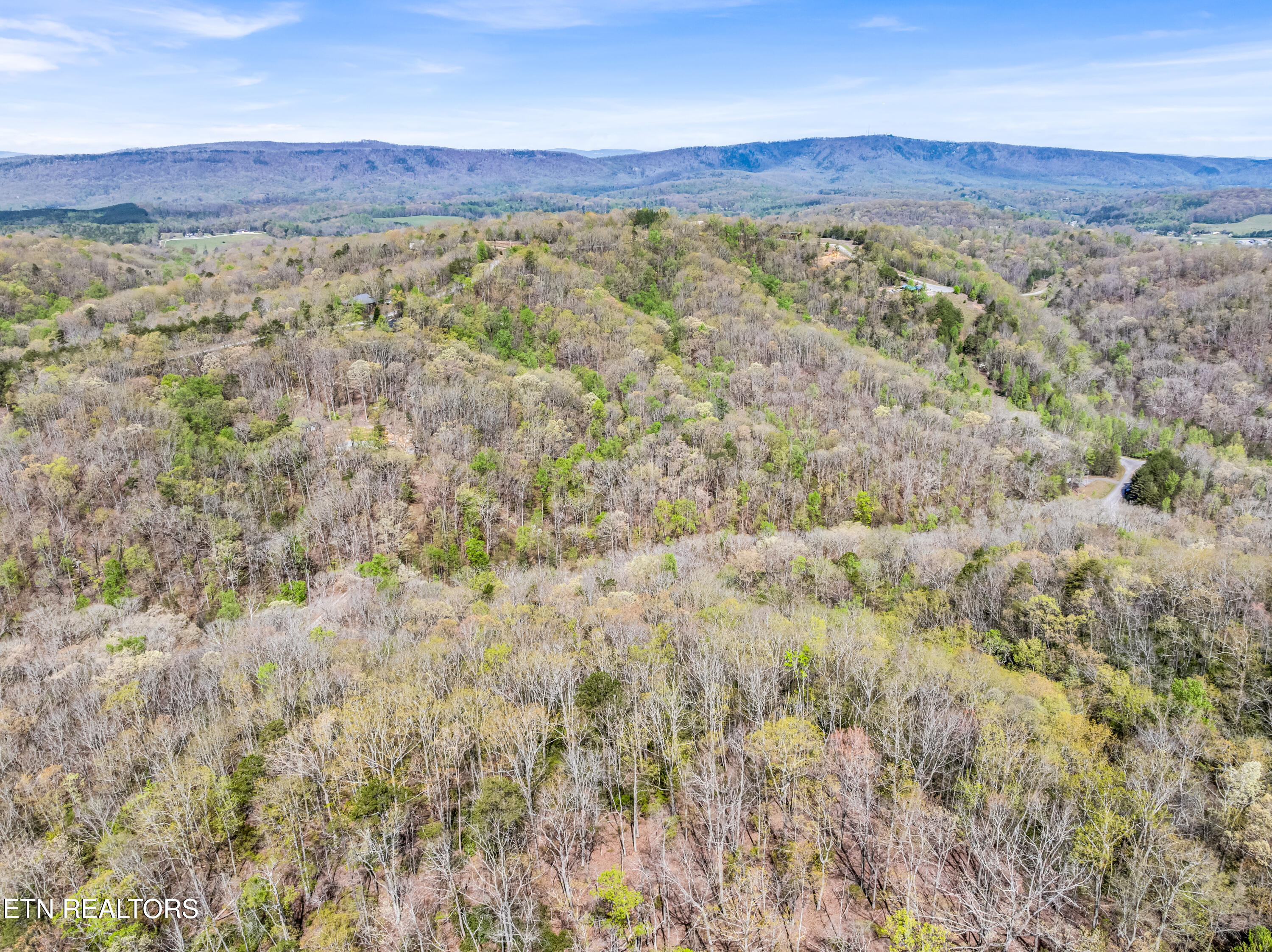 Hidden Oaks Road Rockwood TN 37854