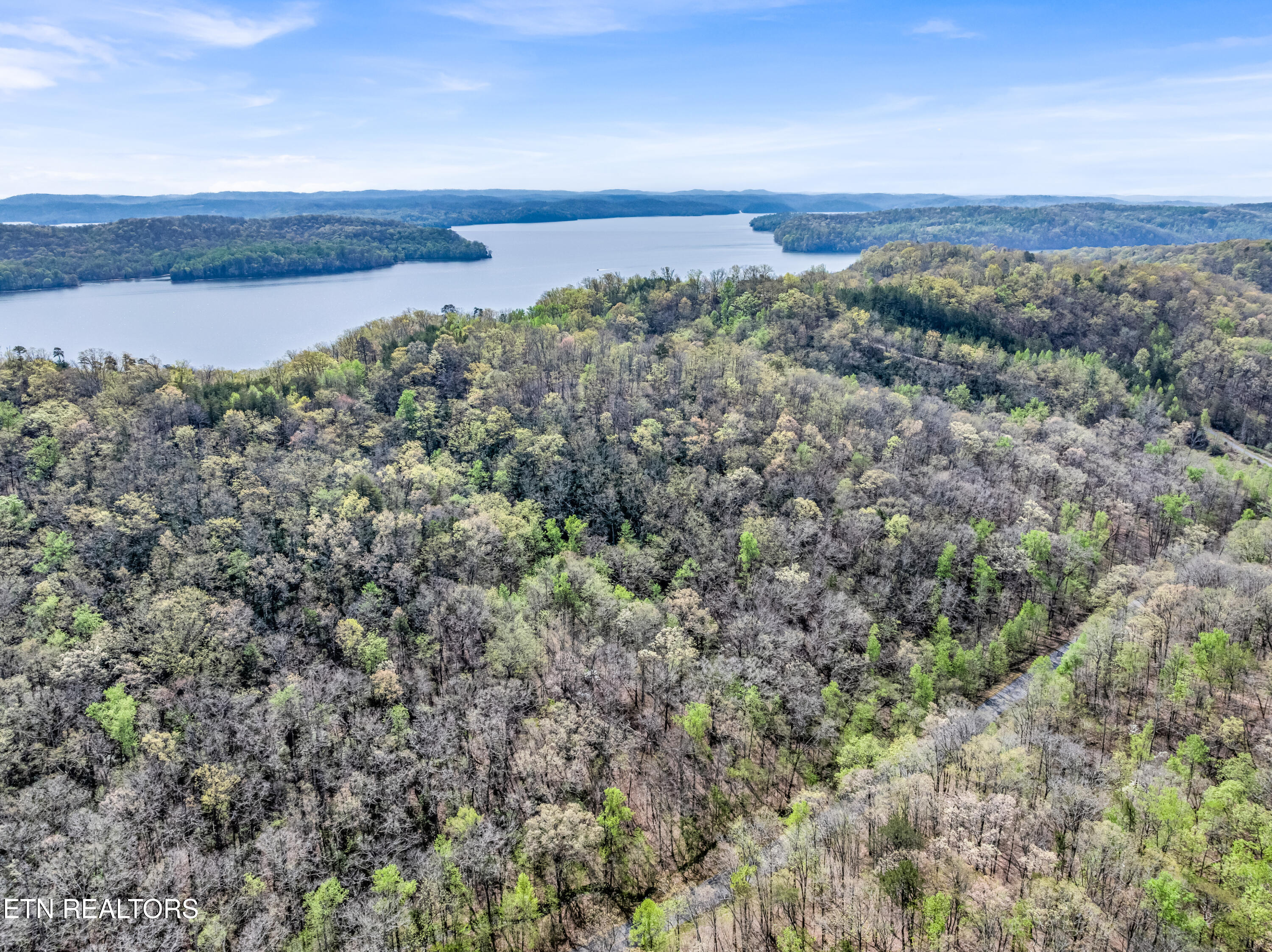 Hidden Oaks Road Rockwood TN 37854