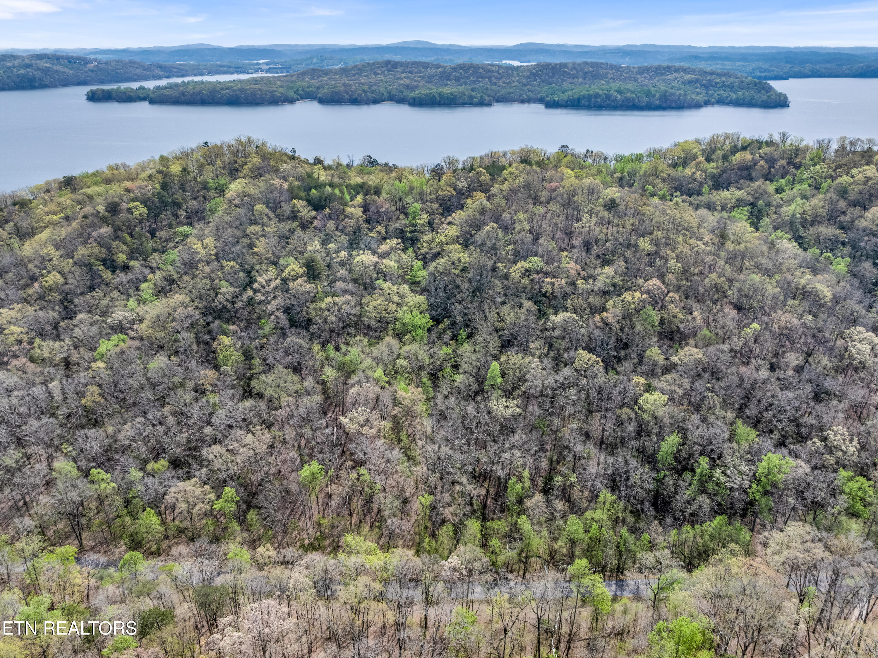 Hidden Oaks Road Rockwood TN 37854