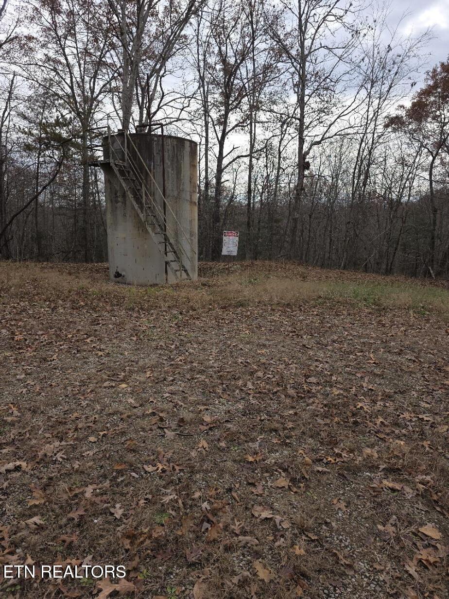 Junior Cox Road Deer Lodge TN 37726