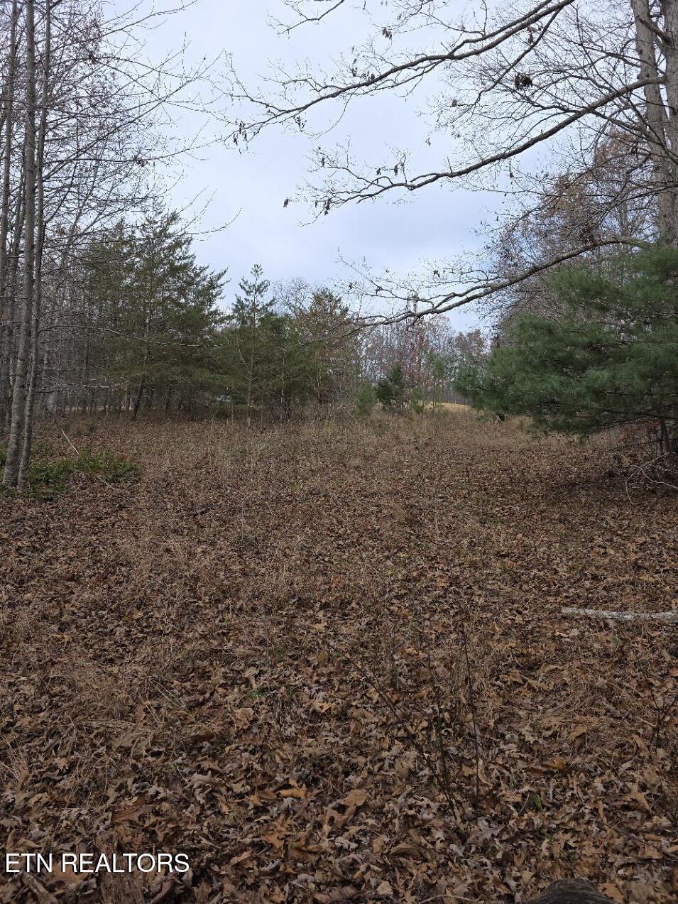 Junior Cox Road Deer Lodge TN 37726
