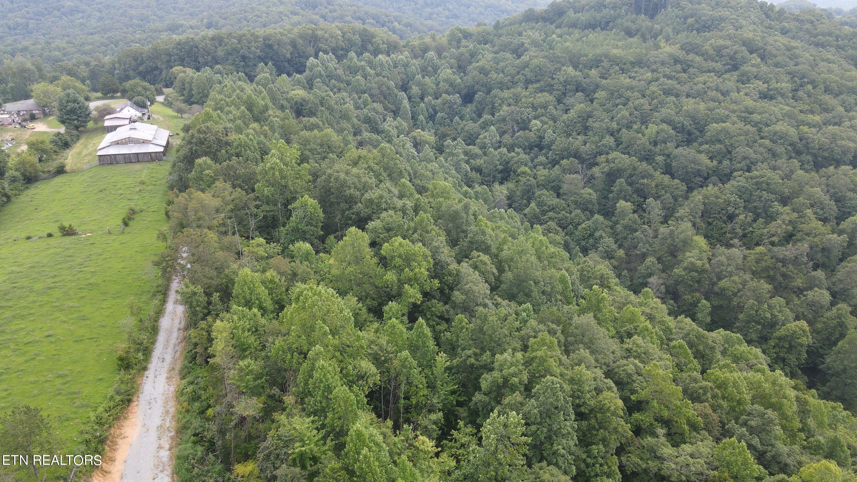 1088 Jones Ridge Road Speedwell TN 37870