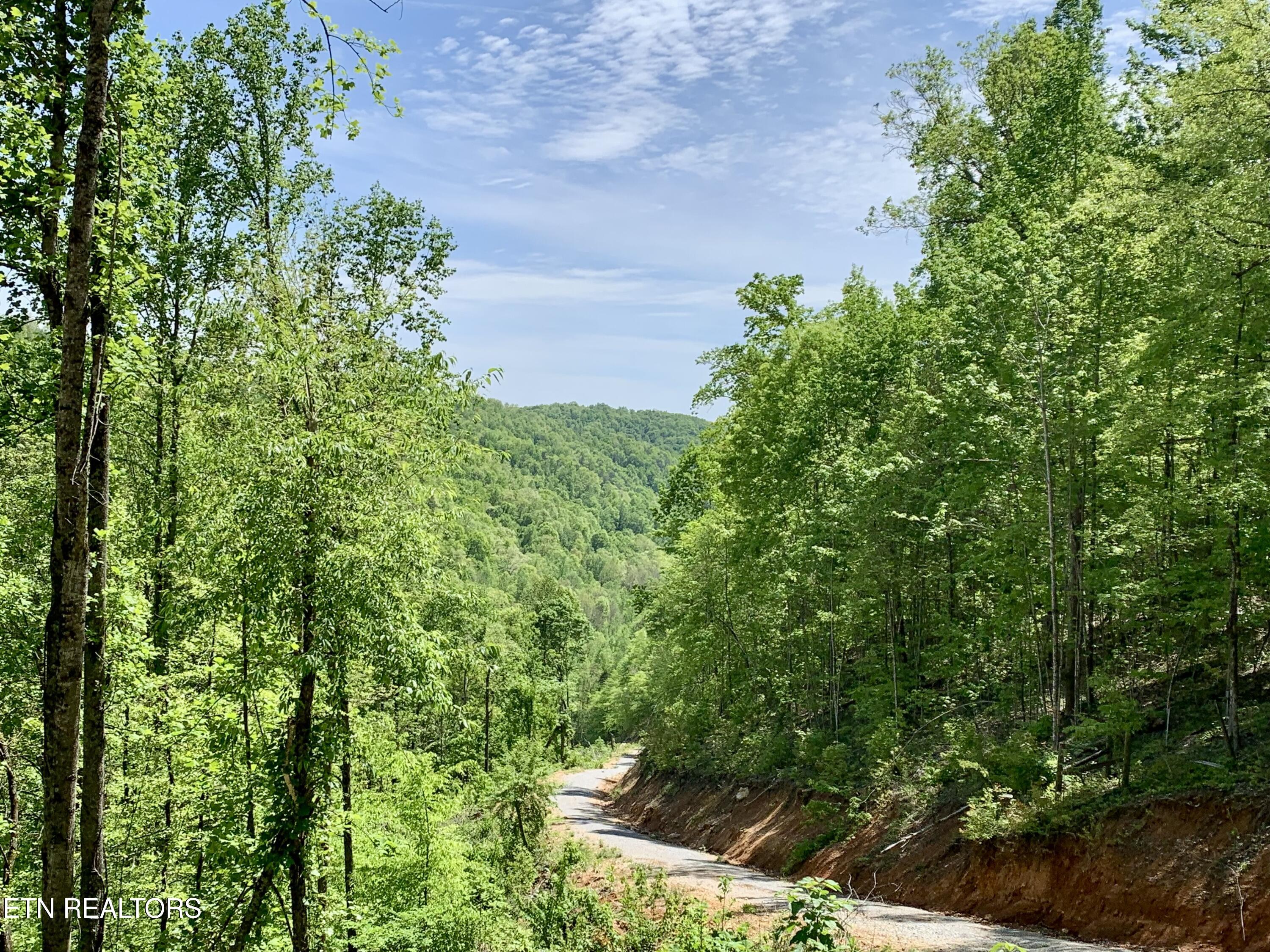 1088 Jones Ridge Road Speedwell TN 37870