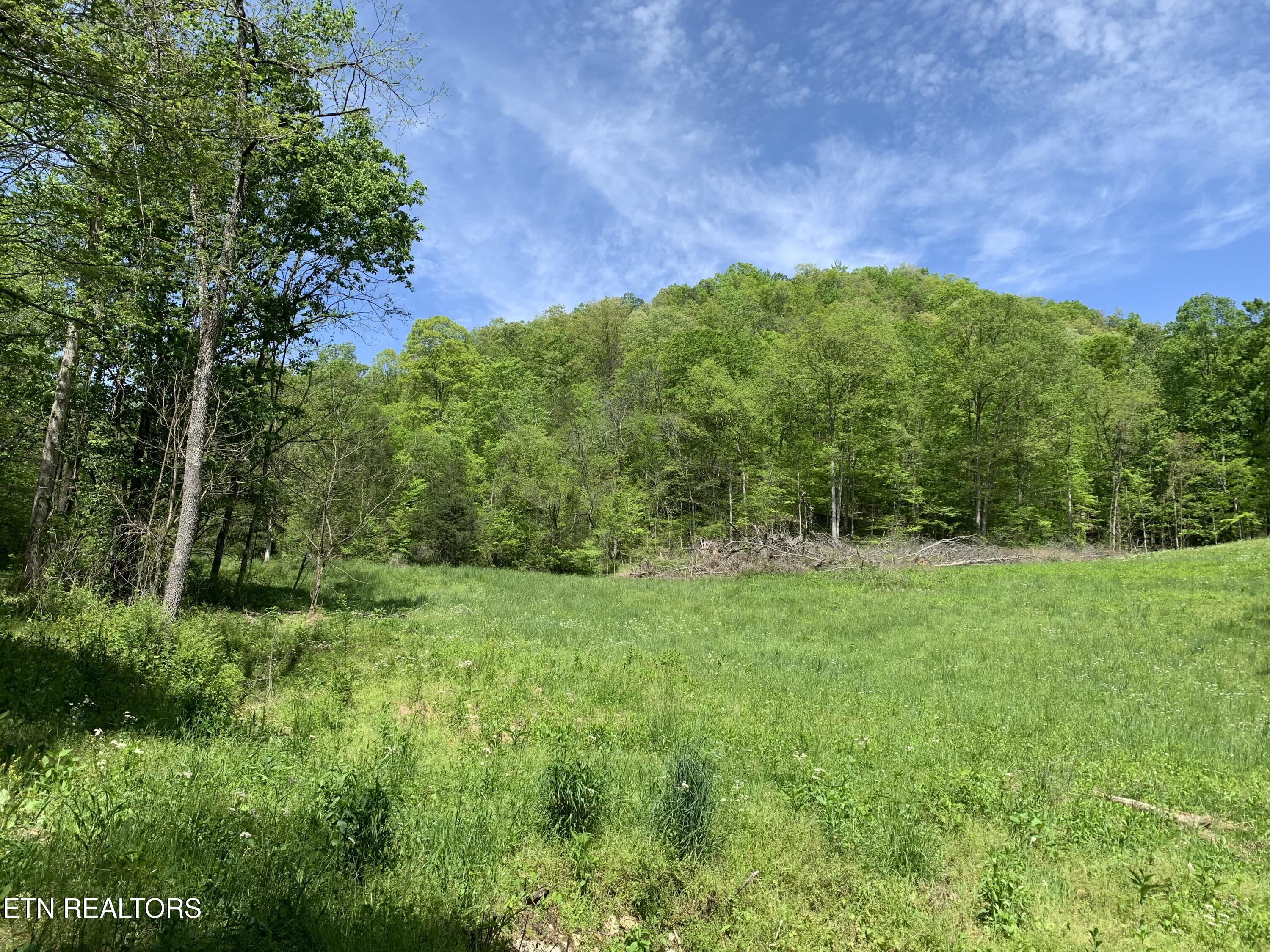 1088 Jones Ridge Road Speedwell TN 37870