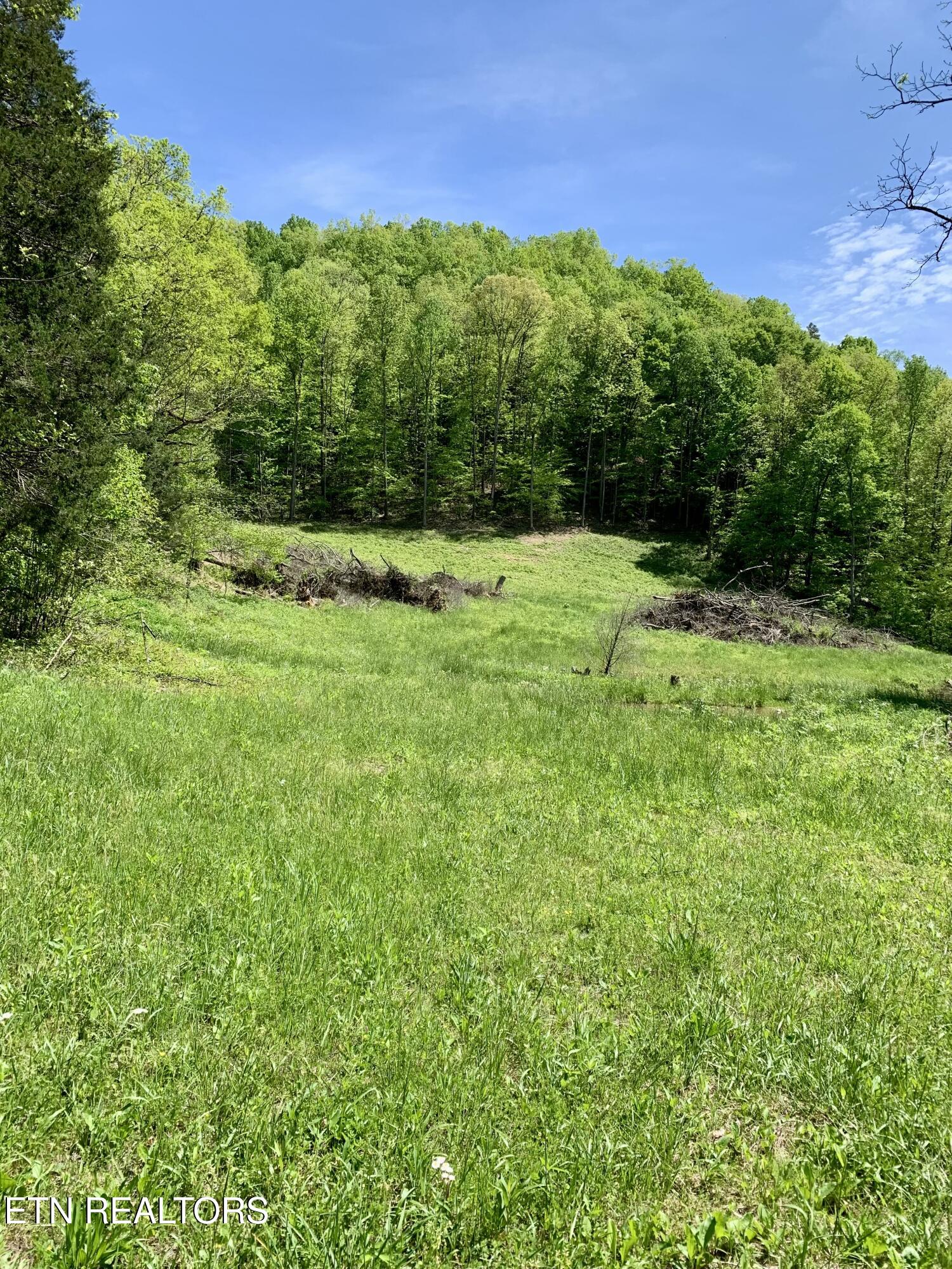 1088 Jones Ridge Road Speedwell TN 37870