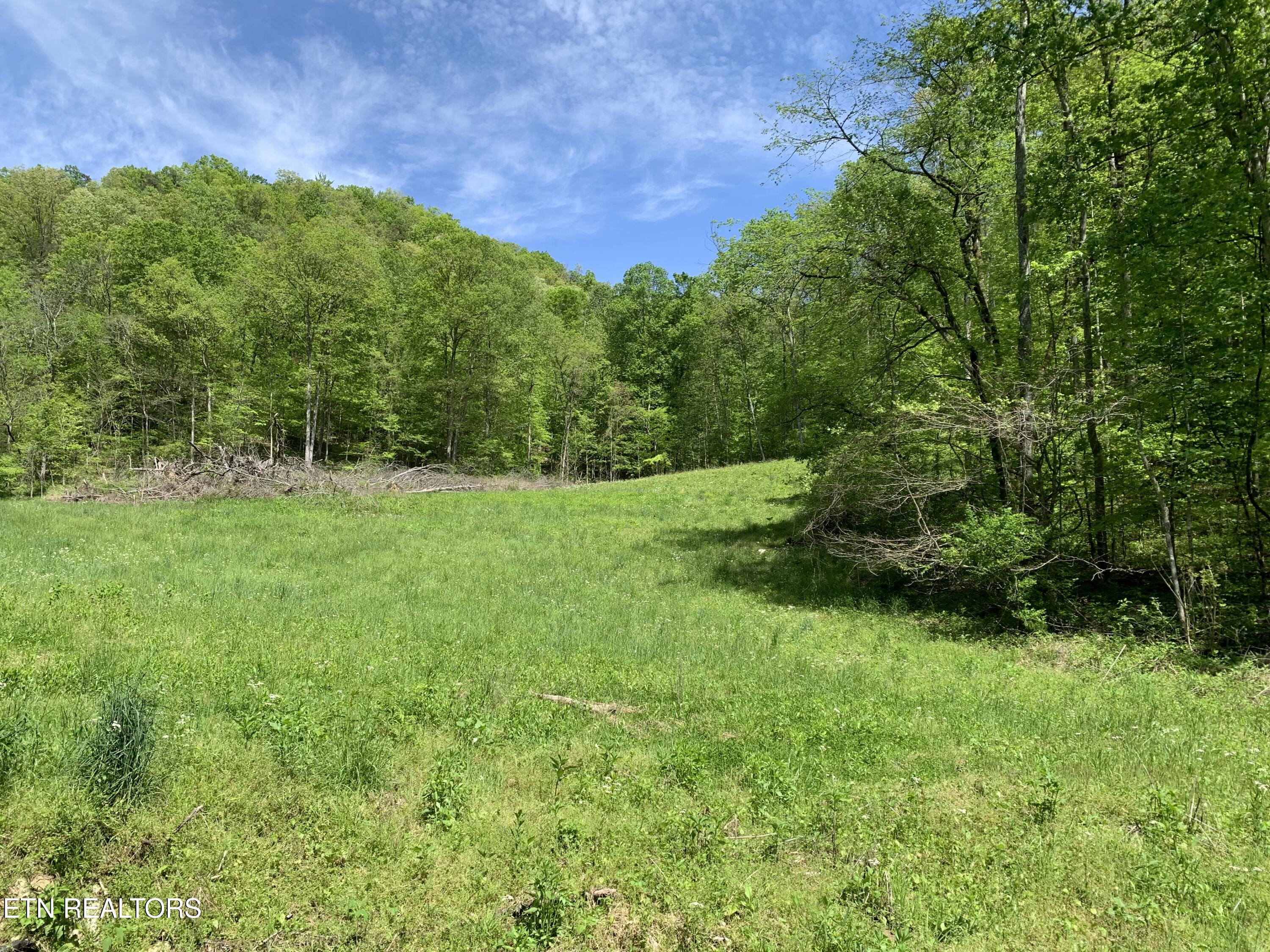 1088 Jones Ridge Road Speedwell TN 37870