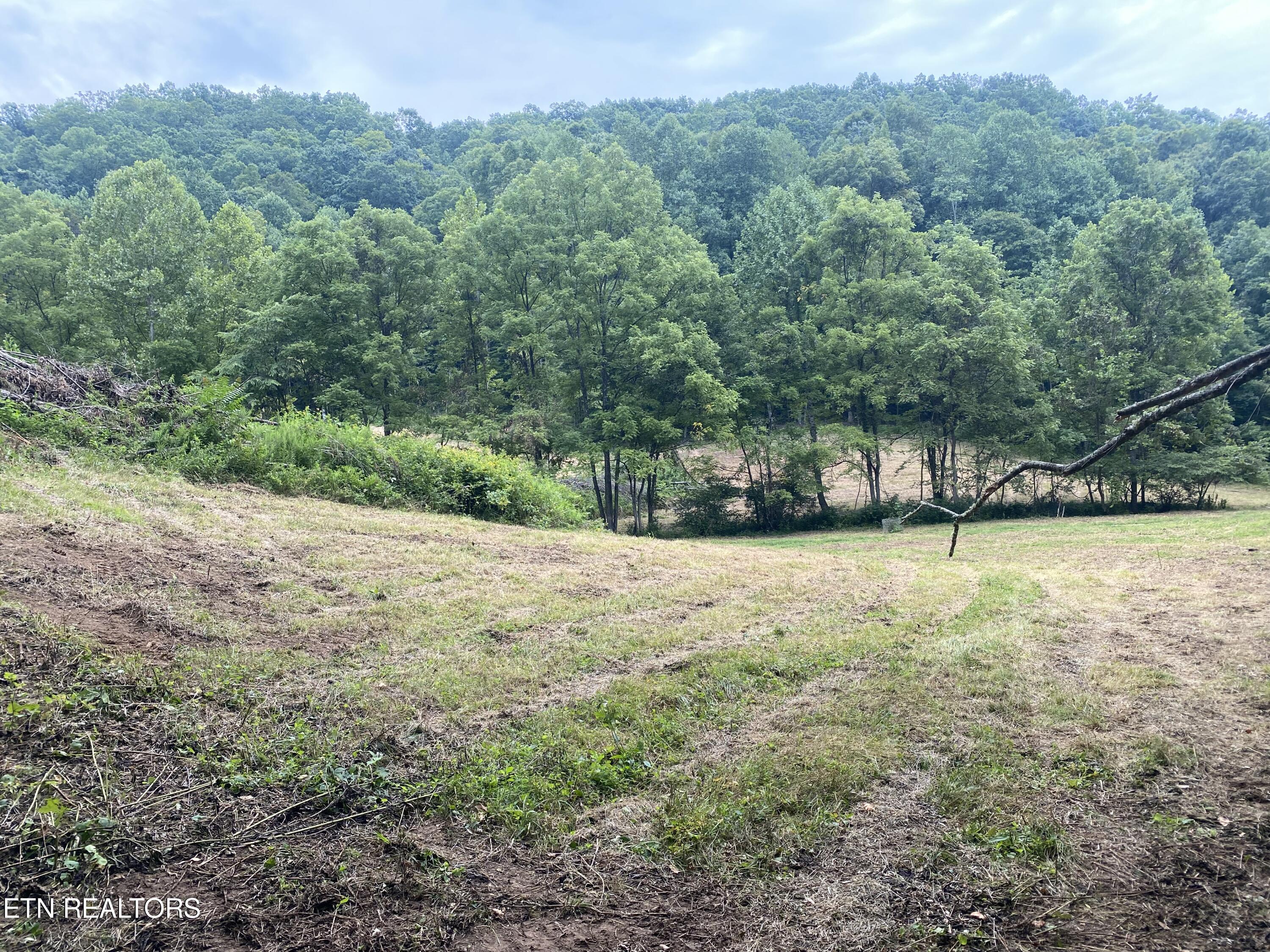 1088 Jones Ridge Road Speedwell TN 37870