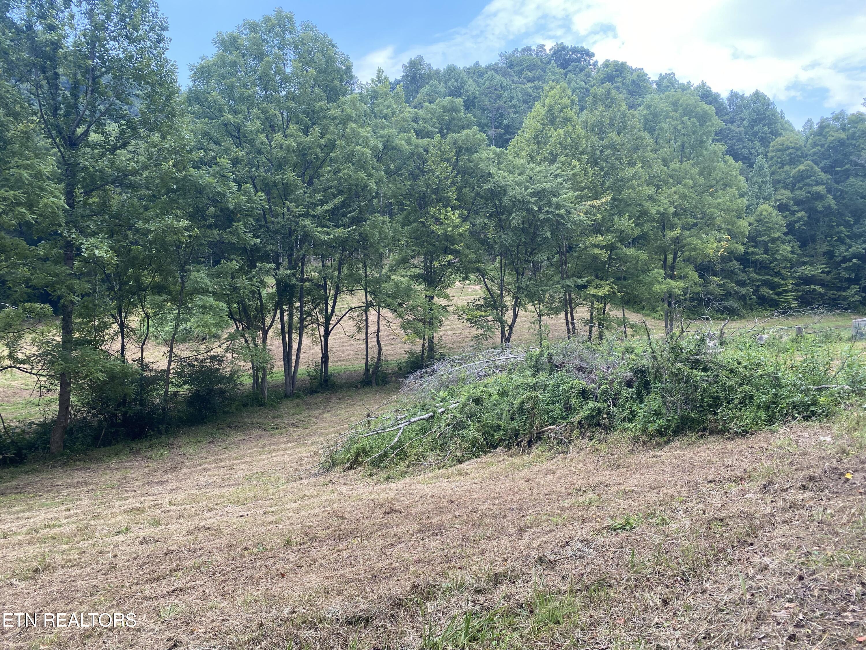 1088 Jones Ridge Road Speedwell TN 37870