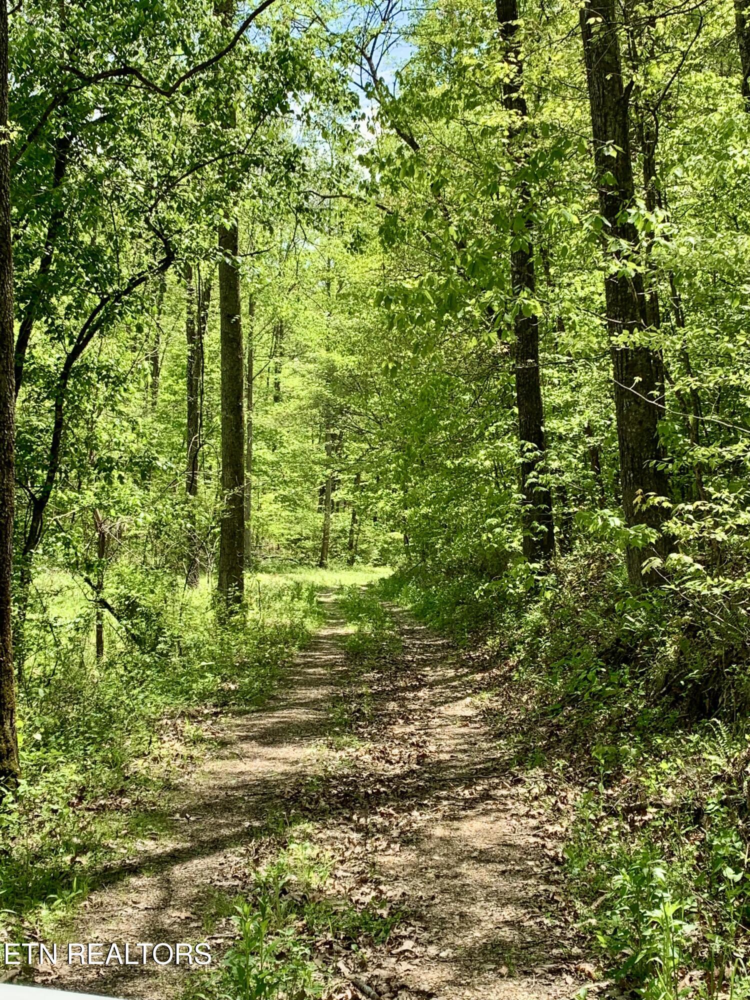 1088 Jones Ridge Road Speedwell TN 37870