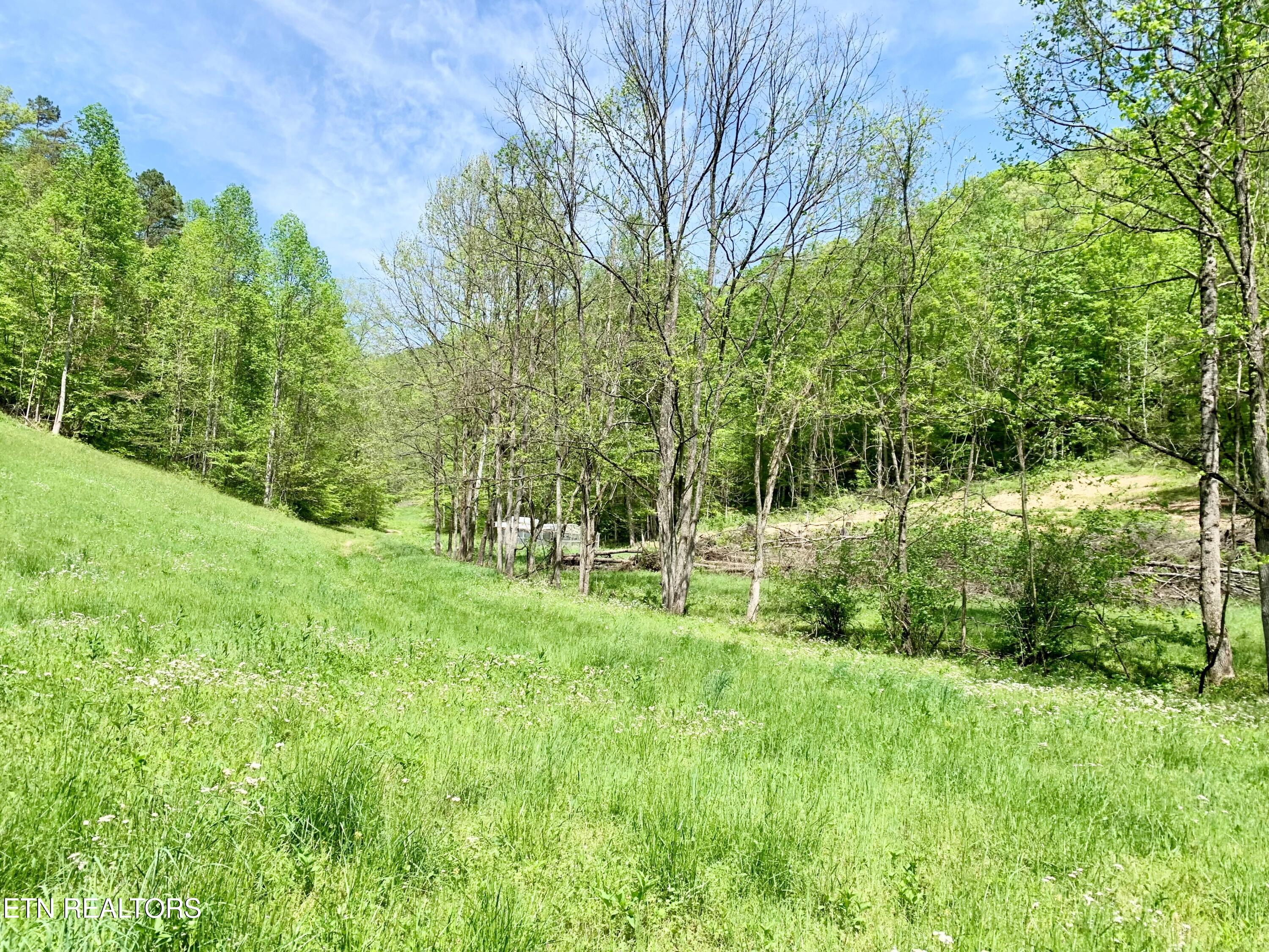 1088 Jones Ridge Road Speedwell TN 37870