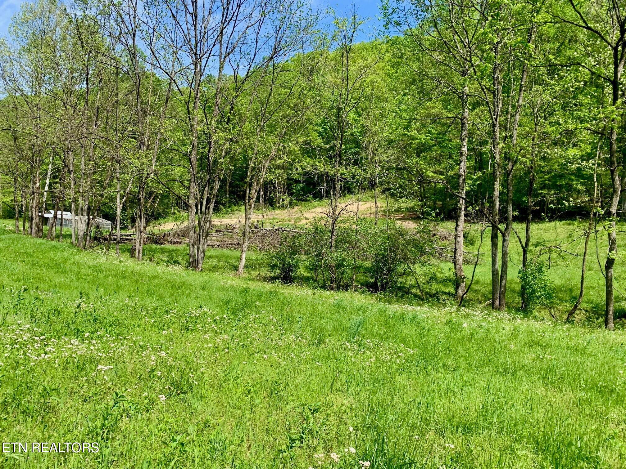 1088 Jones Ridge Road Speedwell TN 37870
