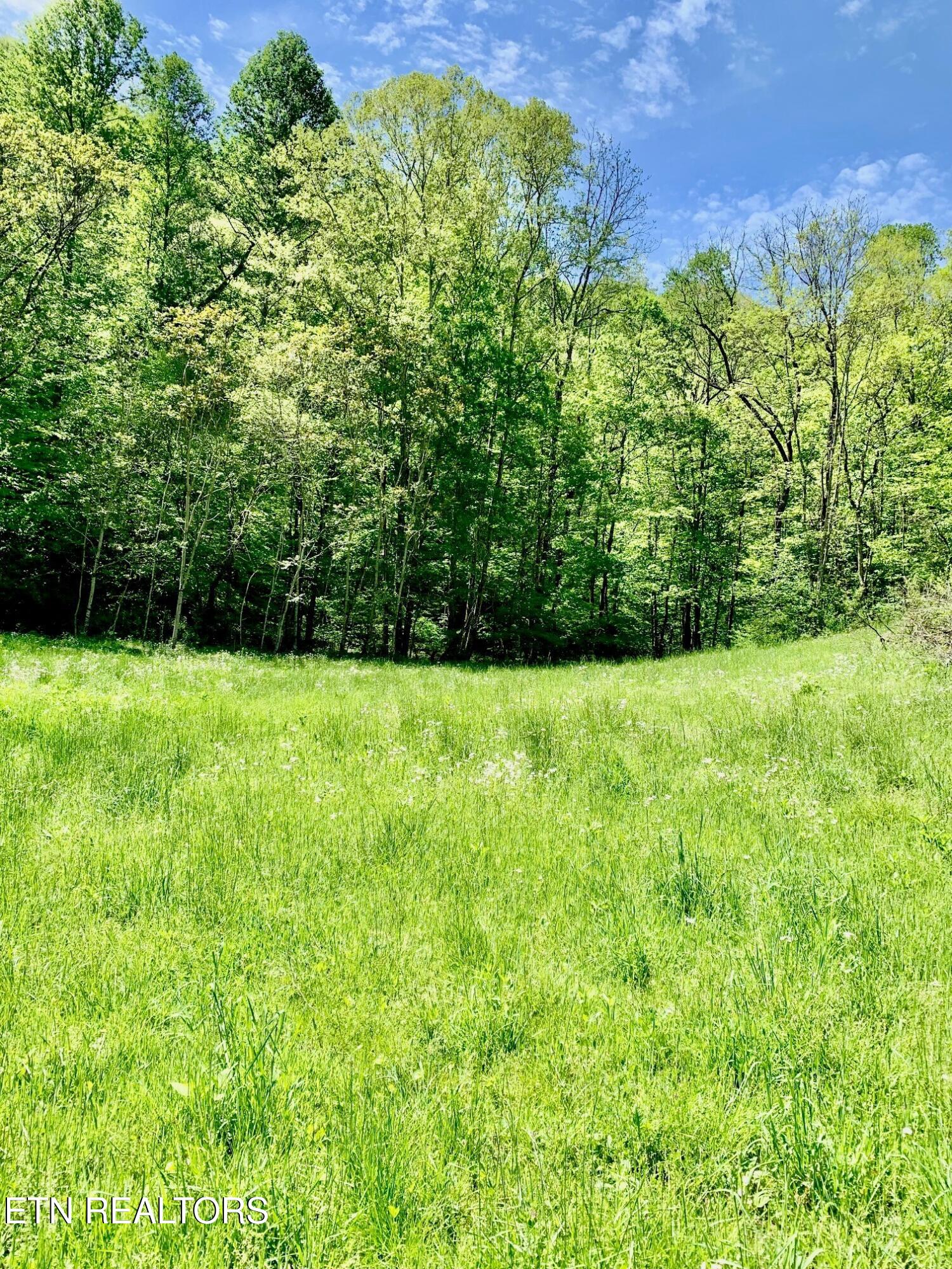 1088 Jones Ridge Road Speedwell TN 37870