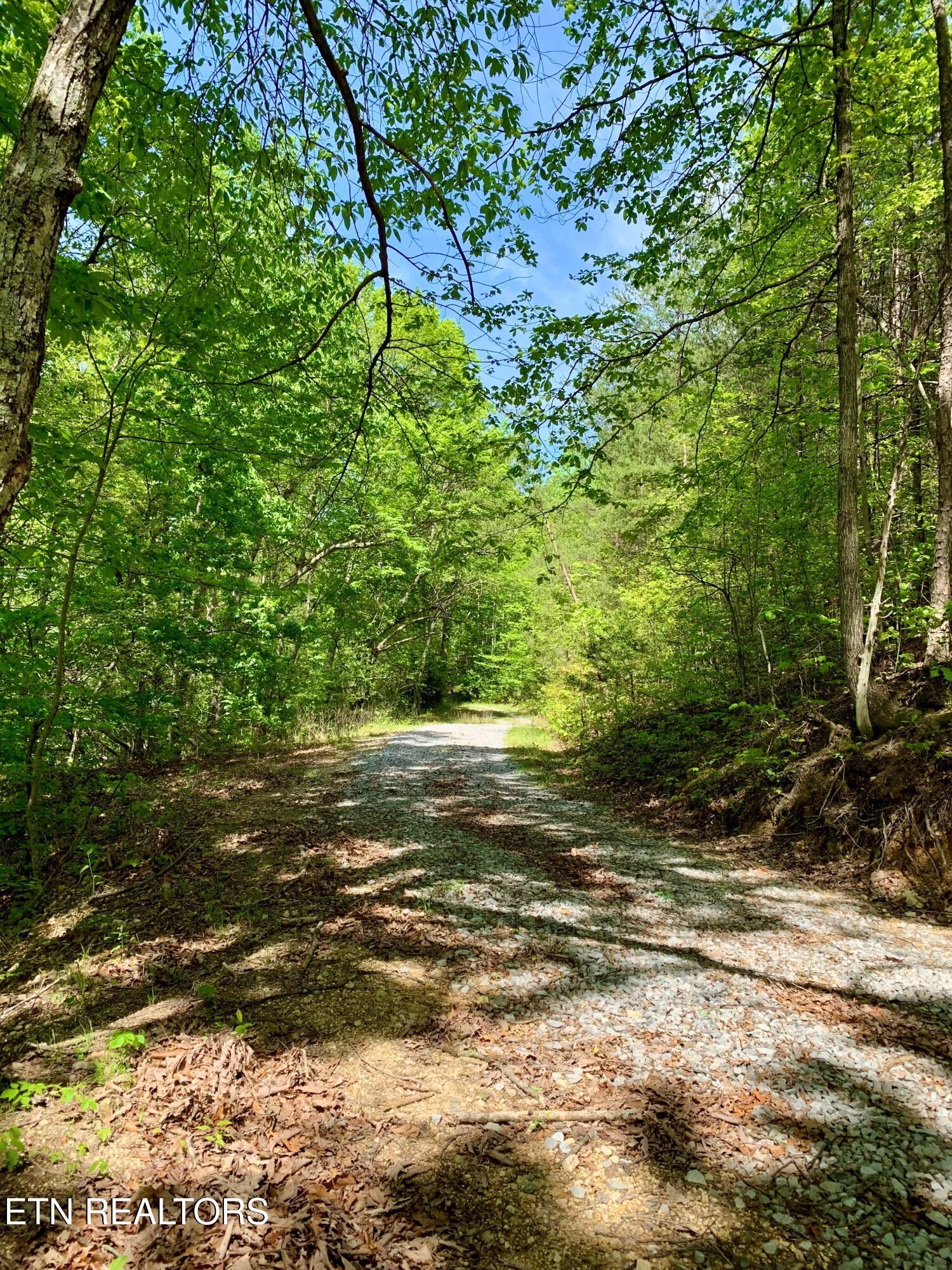 1088 Jones Ridge Road Speedwell TN 37870