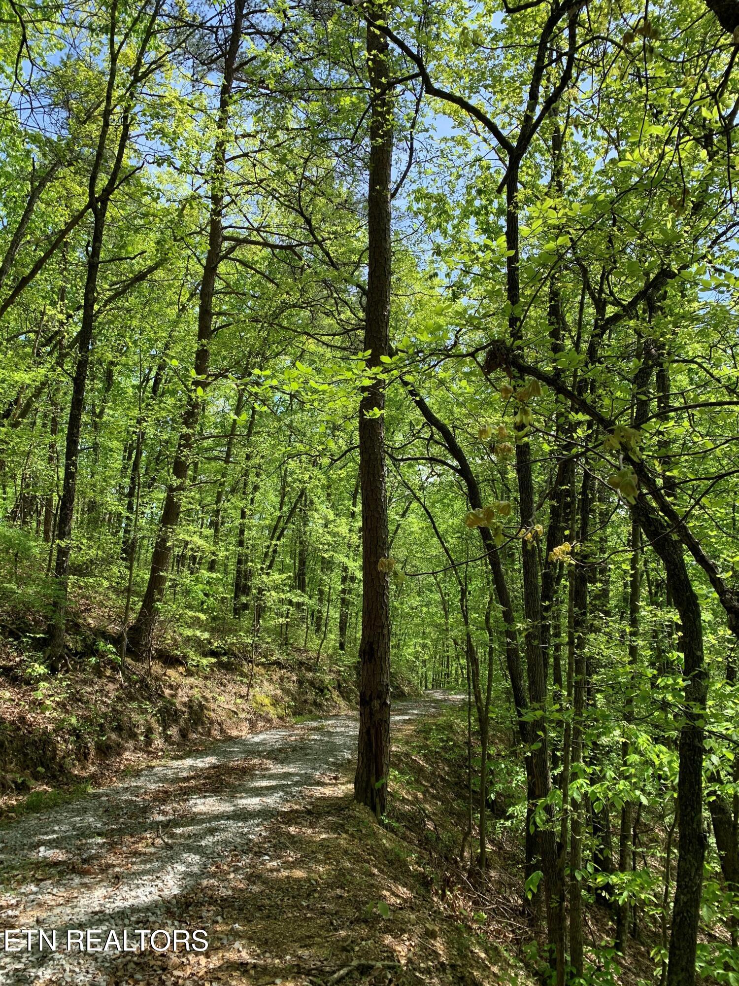 1088 Jones Ridge Road Speedwell TN 37870