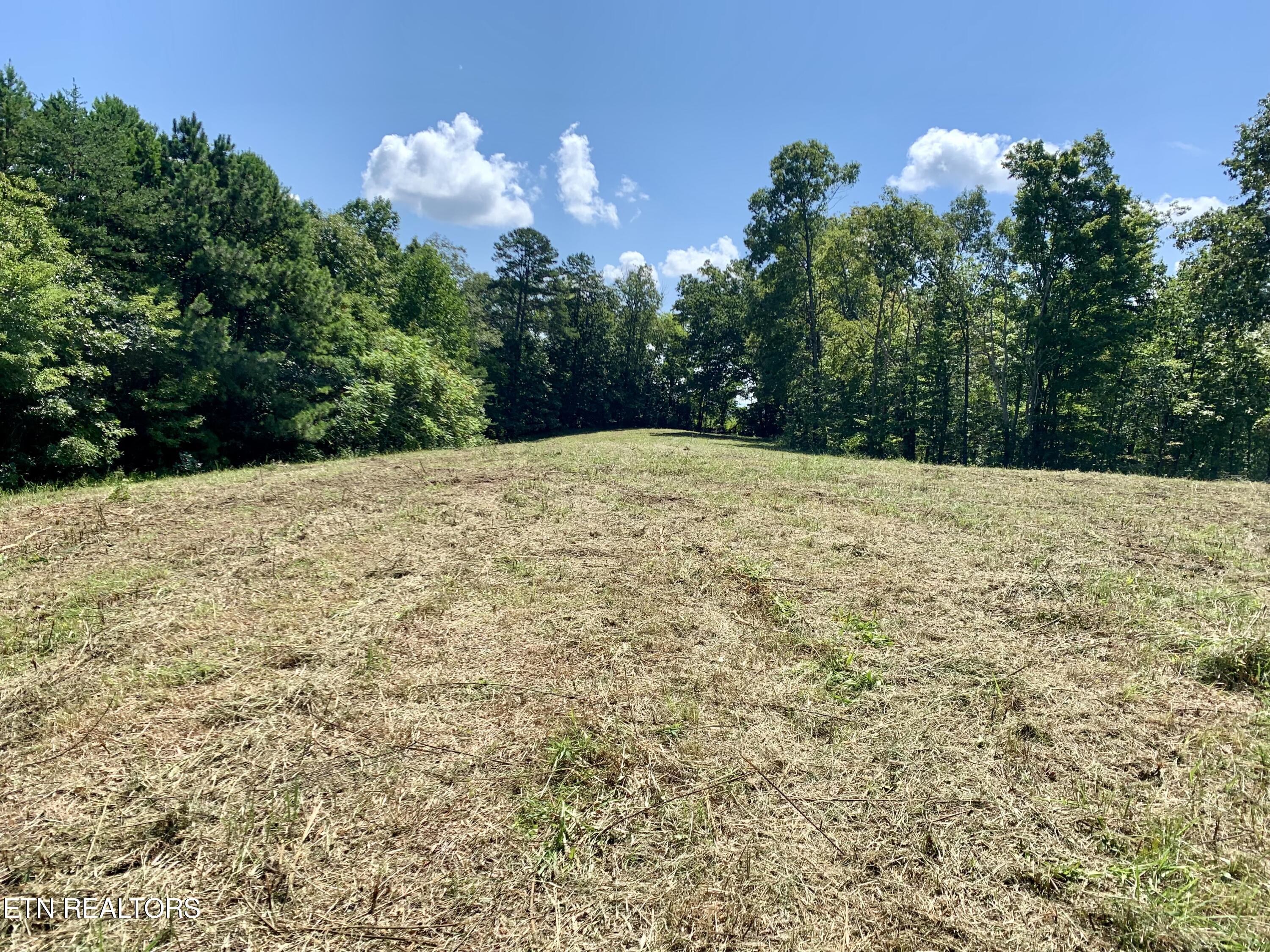1088 Jones Ridge Road Speedwell TN 37870