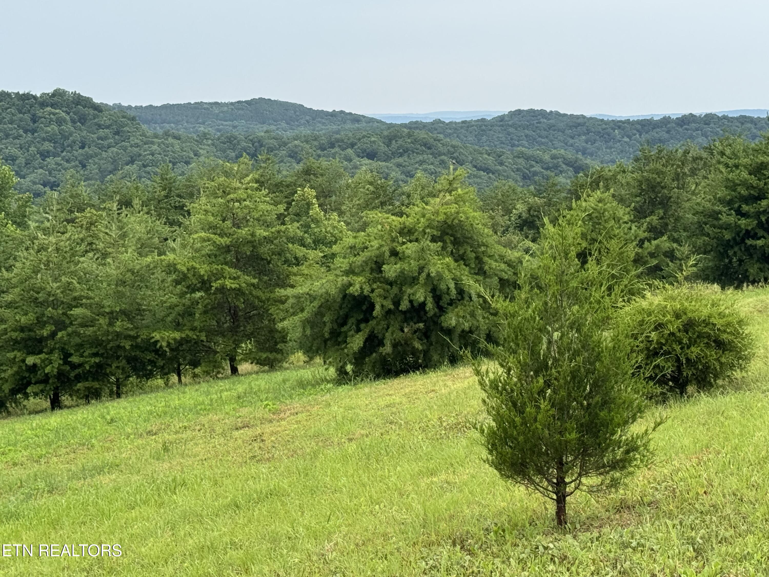 Melea Lane Kingston TN 37763