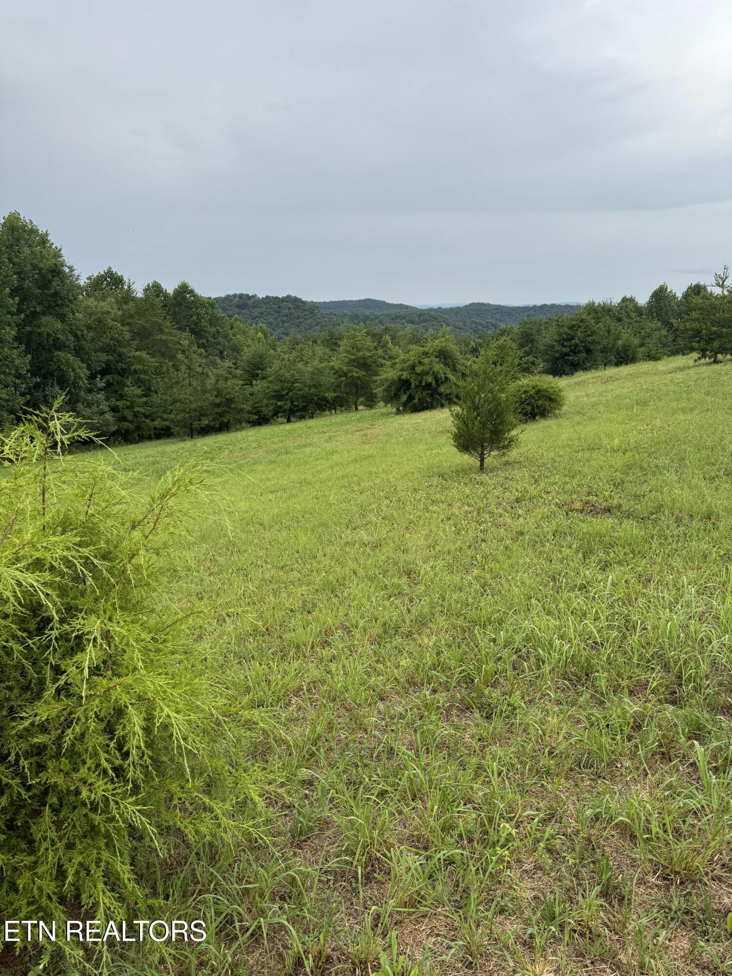 Melea Lane Kingston TN 37763