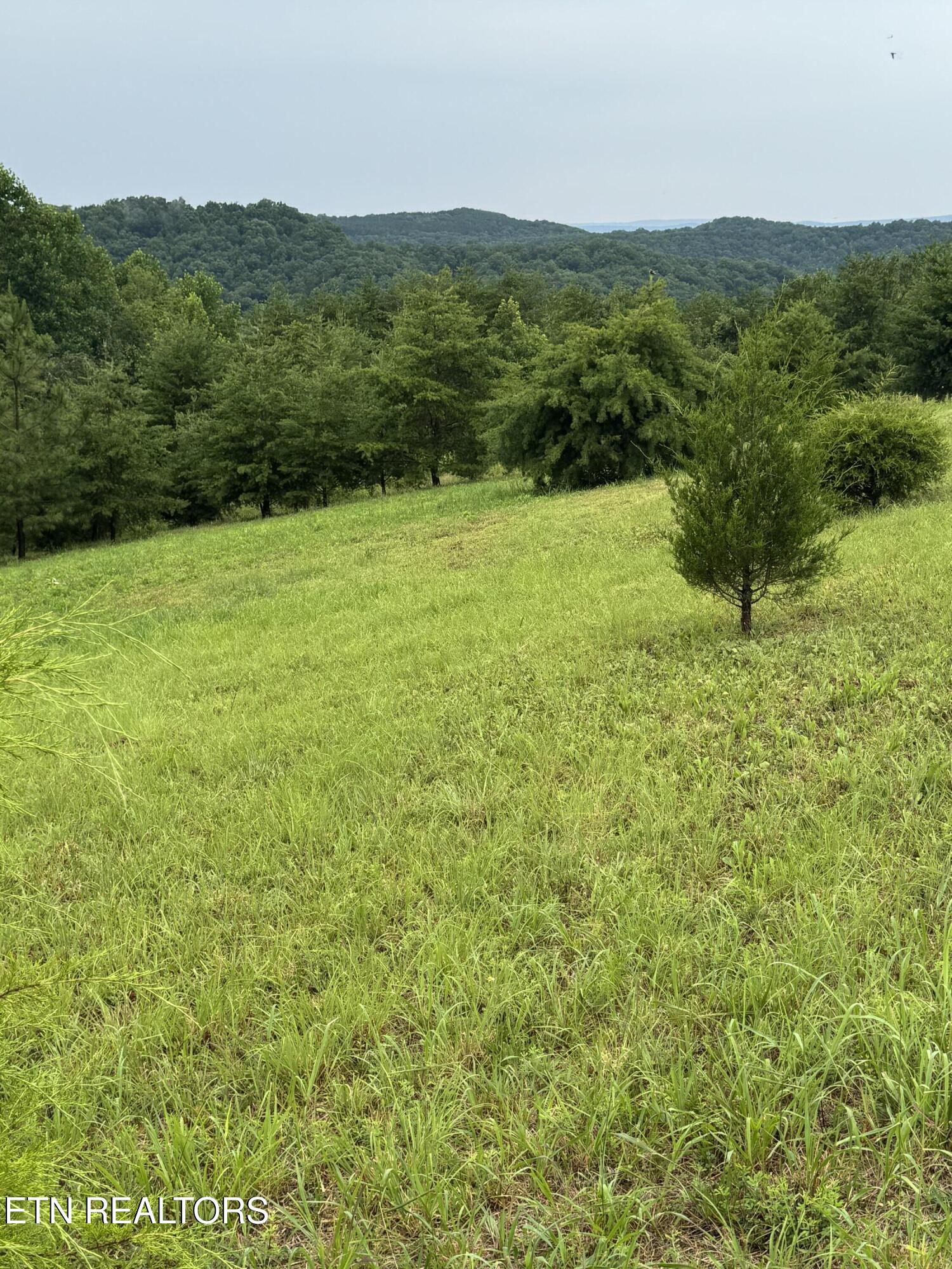 Melea Lane Kingston TN 37763