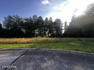 Lot 74 Creekside Drive Harriman TN 37748