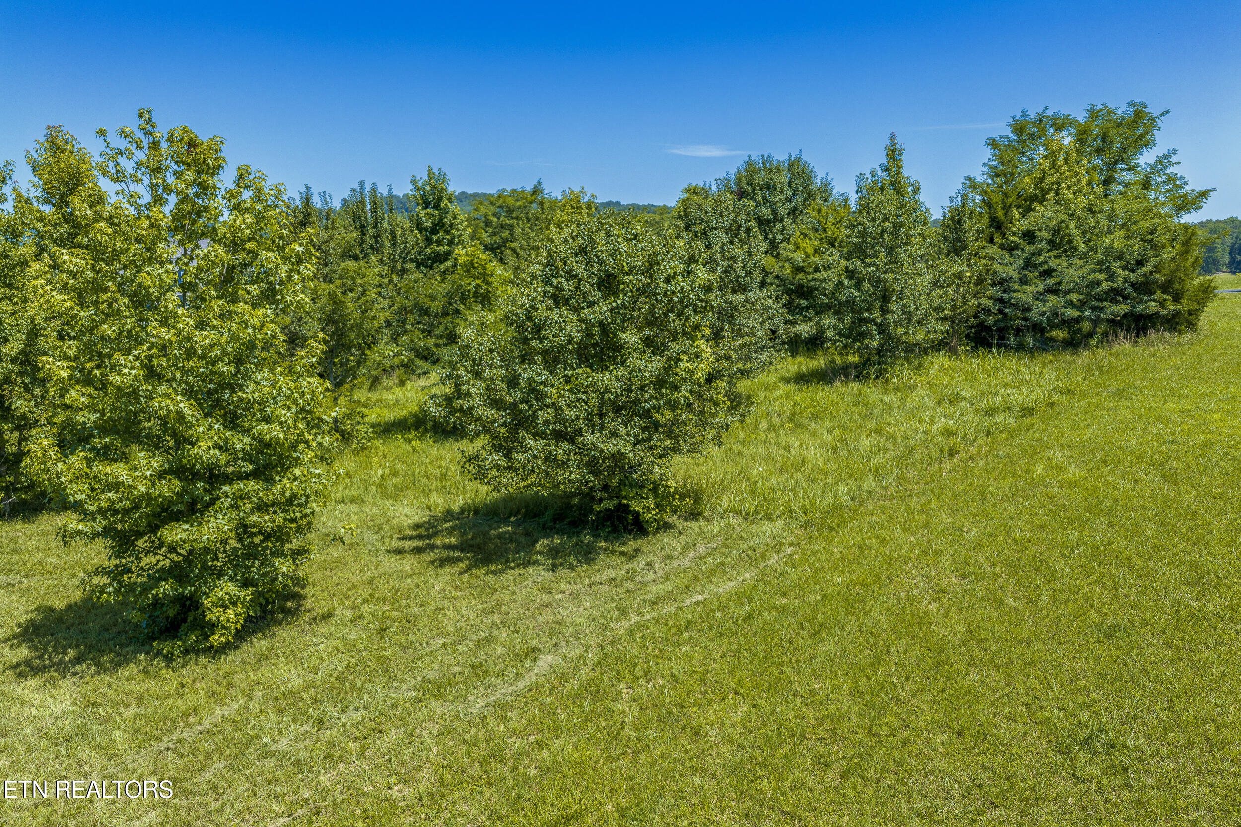 271 W Shore Drive Rockwood TN 37854