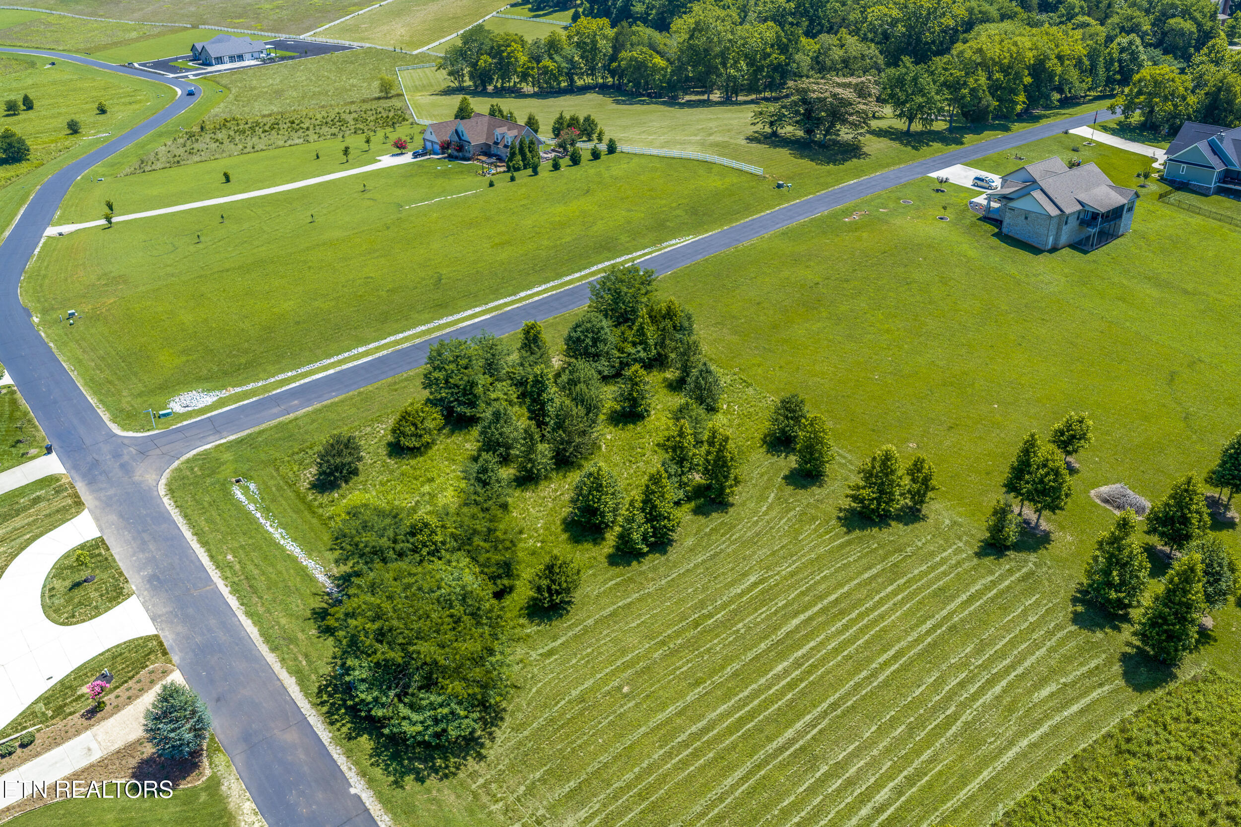 271 W Shore Drive Rockwood TN 37854