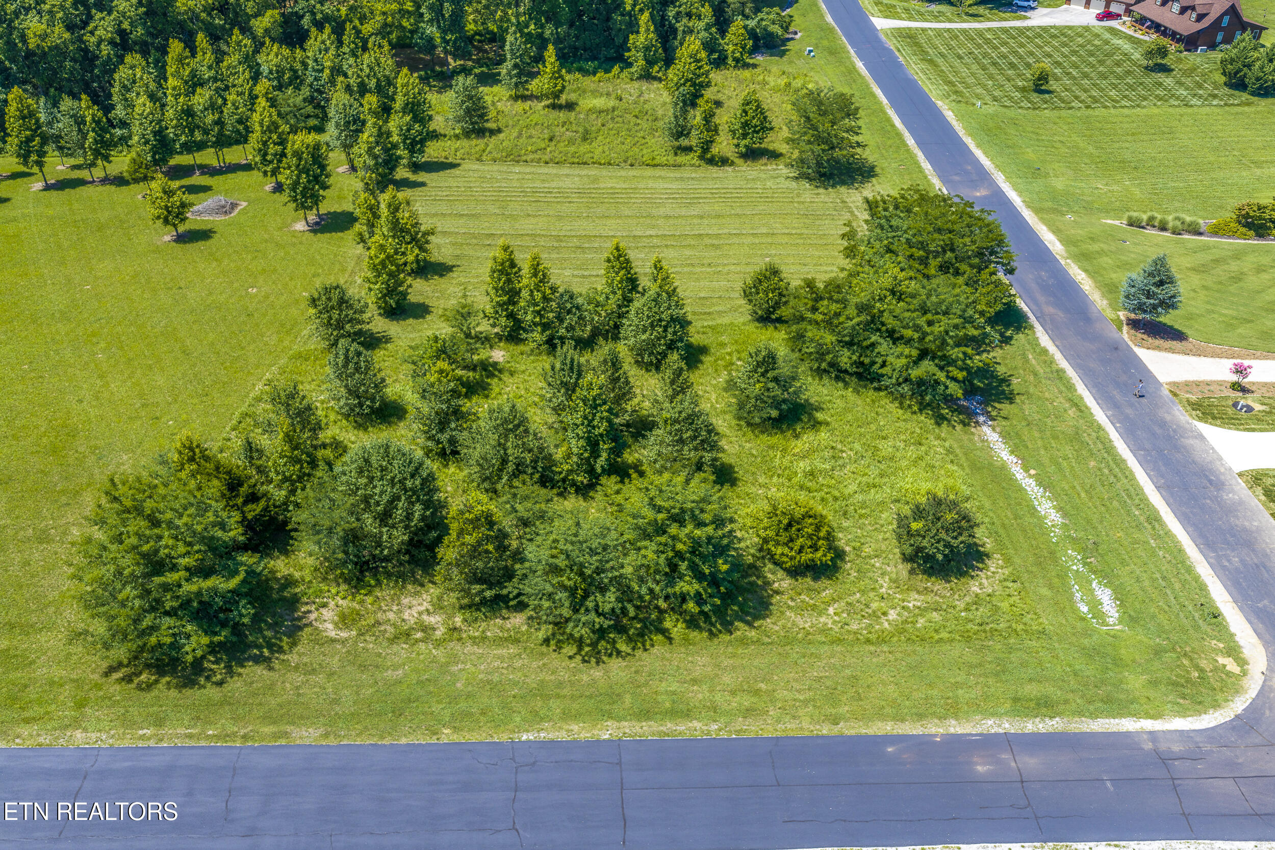 271 W Shore Drive Rockwood TN 37854
