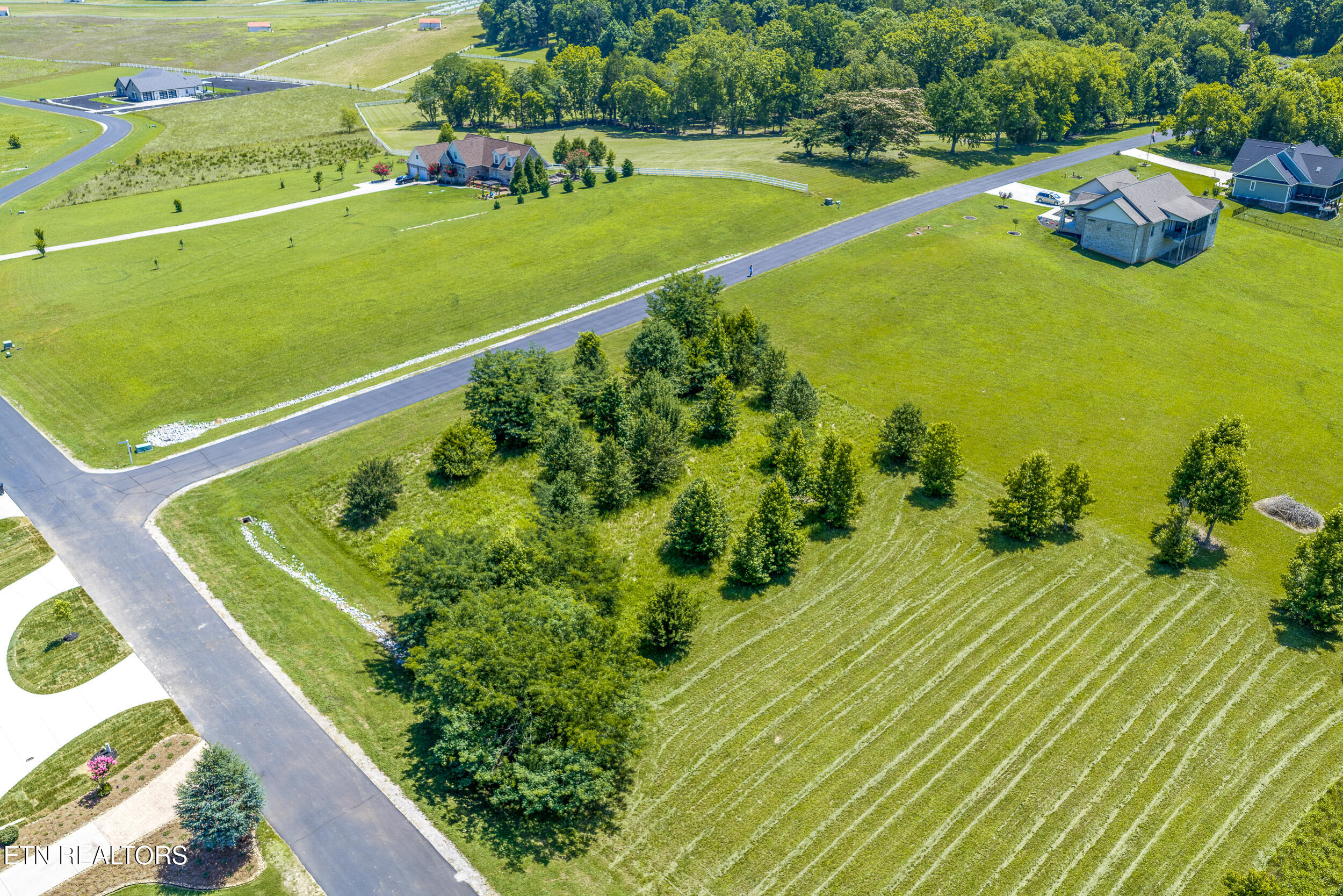 271 W Shore Drive Rockwood TN 37854