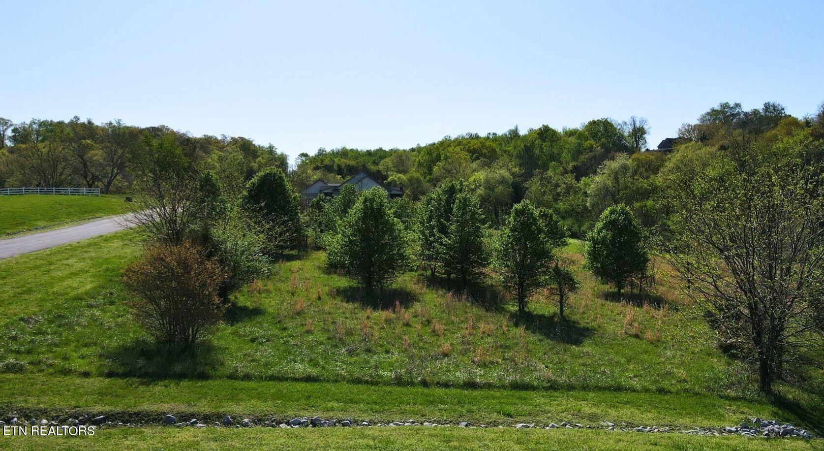 271 W Shore Drive Rockwood TN 37854