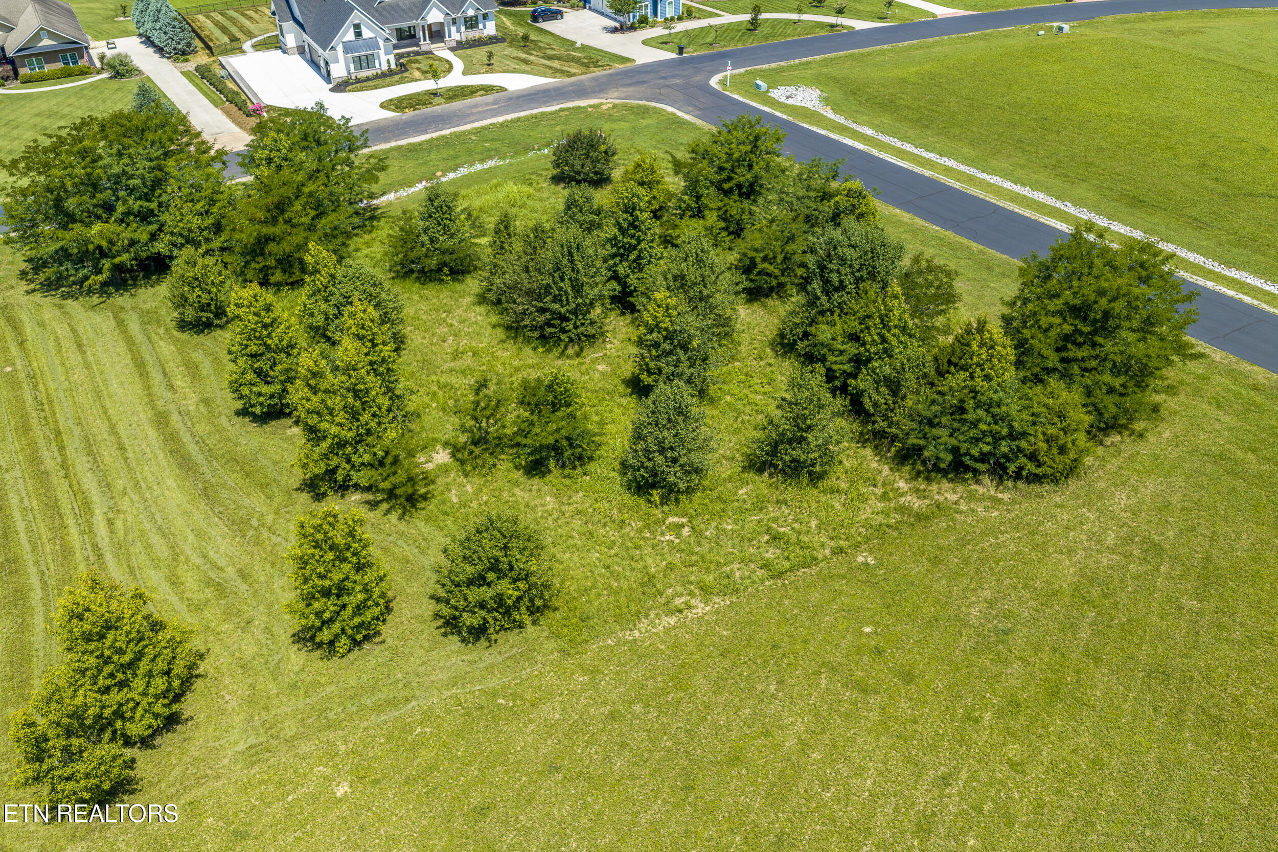 271 W Shore Drive Rockwood TN 37854