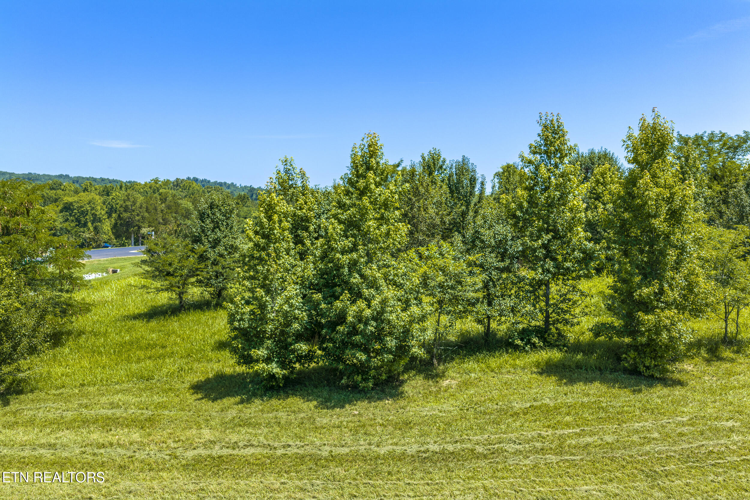 271 W Shore Drive Rockwood TN 37854