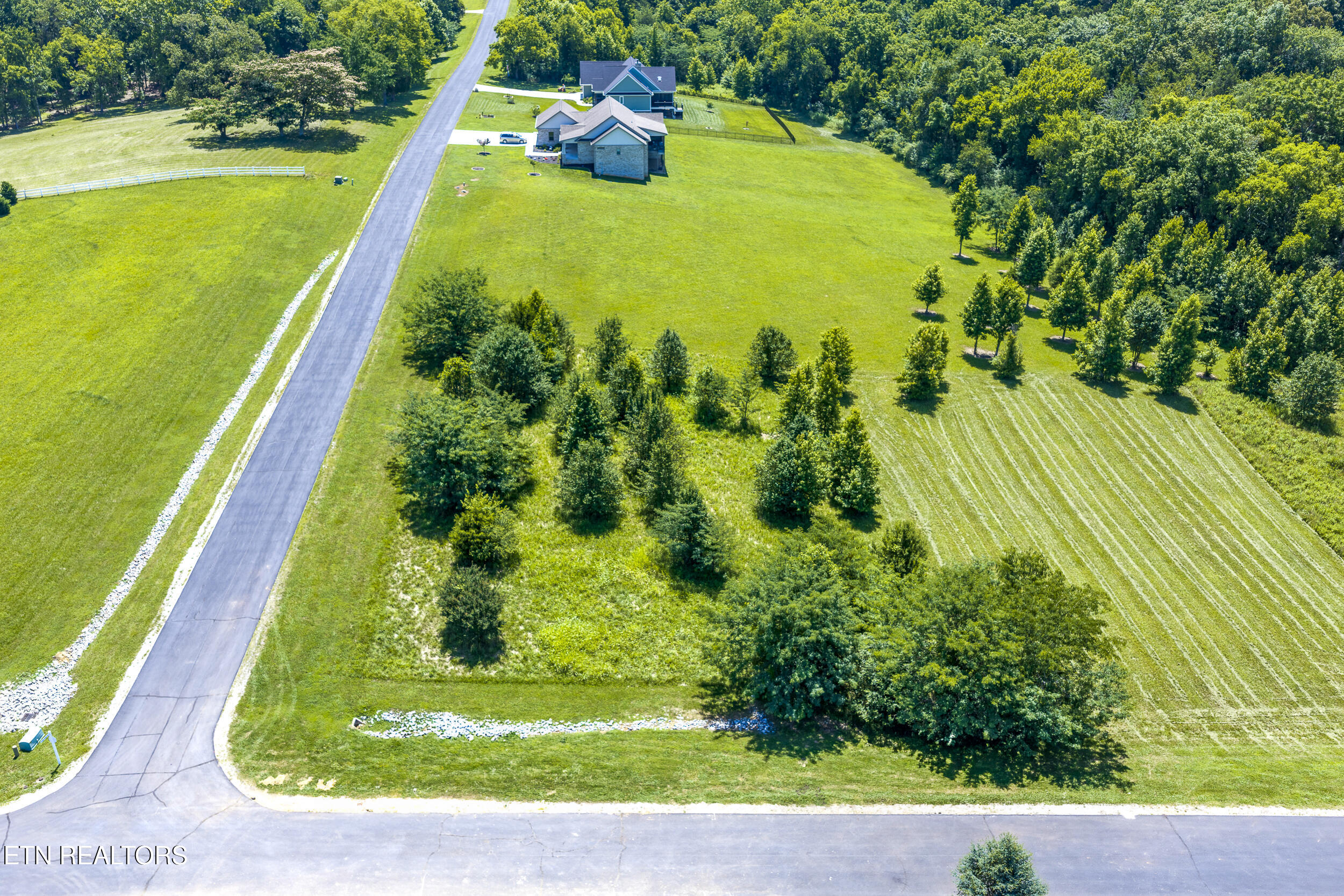 271 W Shore Drive Rockwood TN 37854