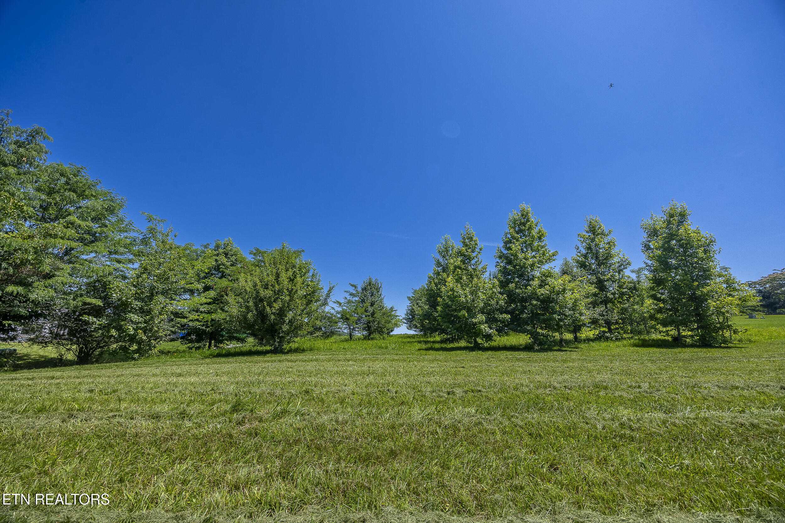 271 W Shore Drive Rockwood TN 37854
