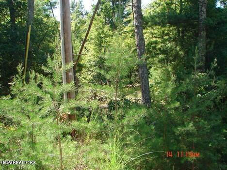 175 Pineridge Loop Crossville TN 38558