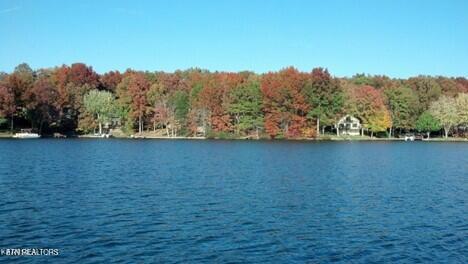 175 Pineridge Loop Crossville TN 38558