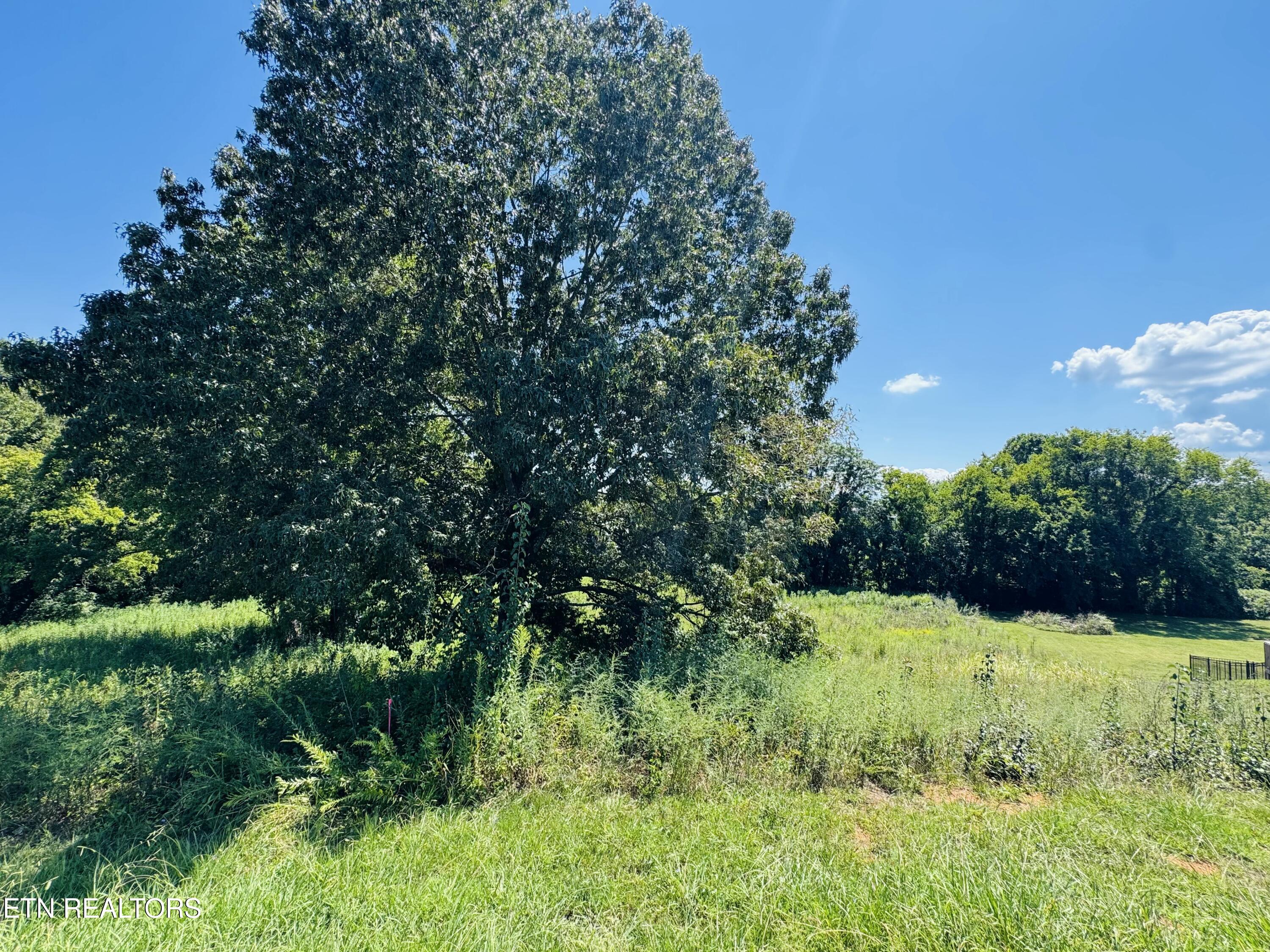 2050 Kings View Loop Seymour TN 37865