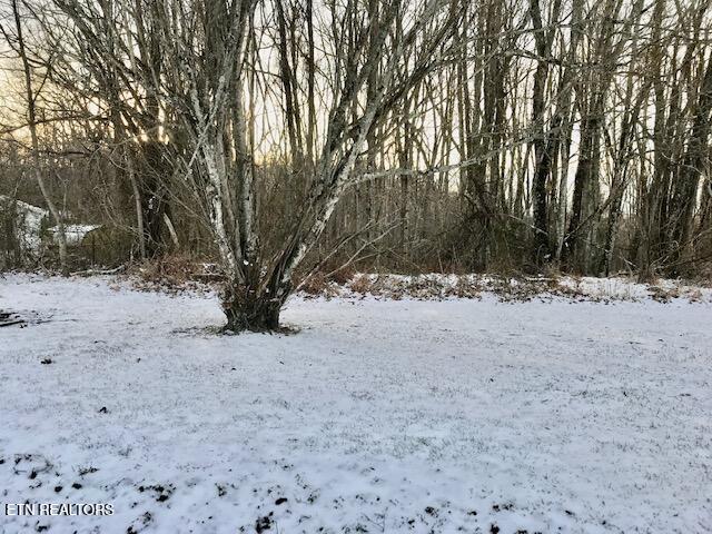 069 145.00 Letner Road Helenwood TN 37755