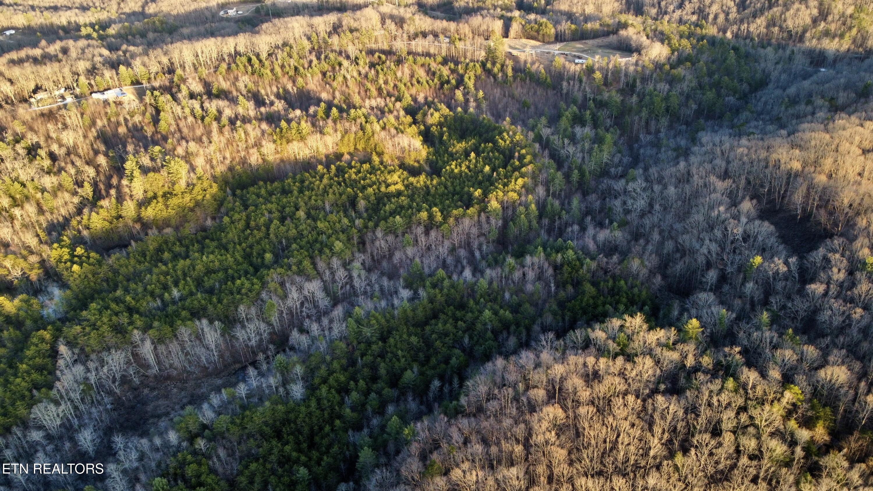 069 145.00 Letner Road Helenwood TN 37755
