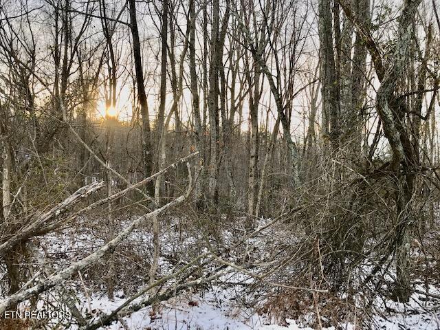 069 145.00 Letner Road Helenwood TN 37755