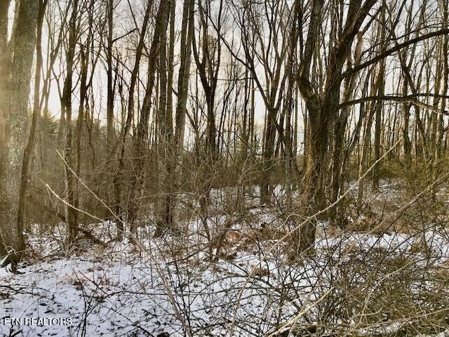 069 145.00 Letner Road Helenwood TN 37755