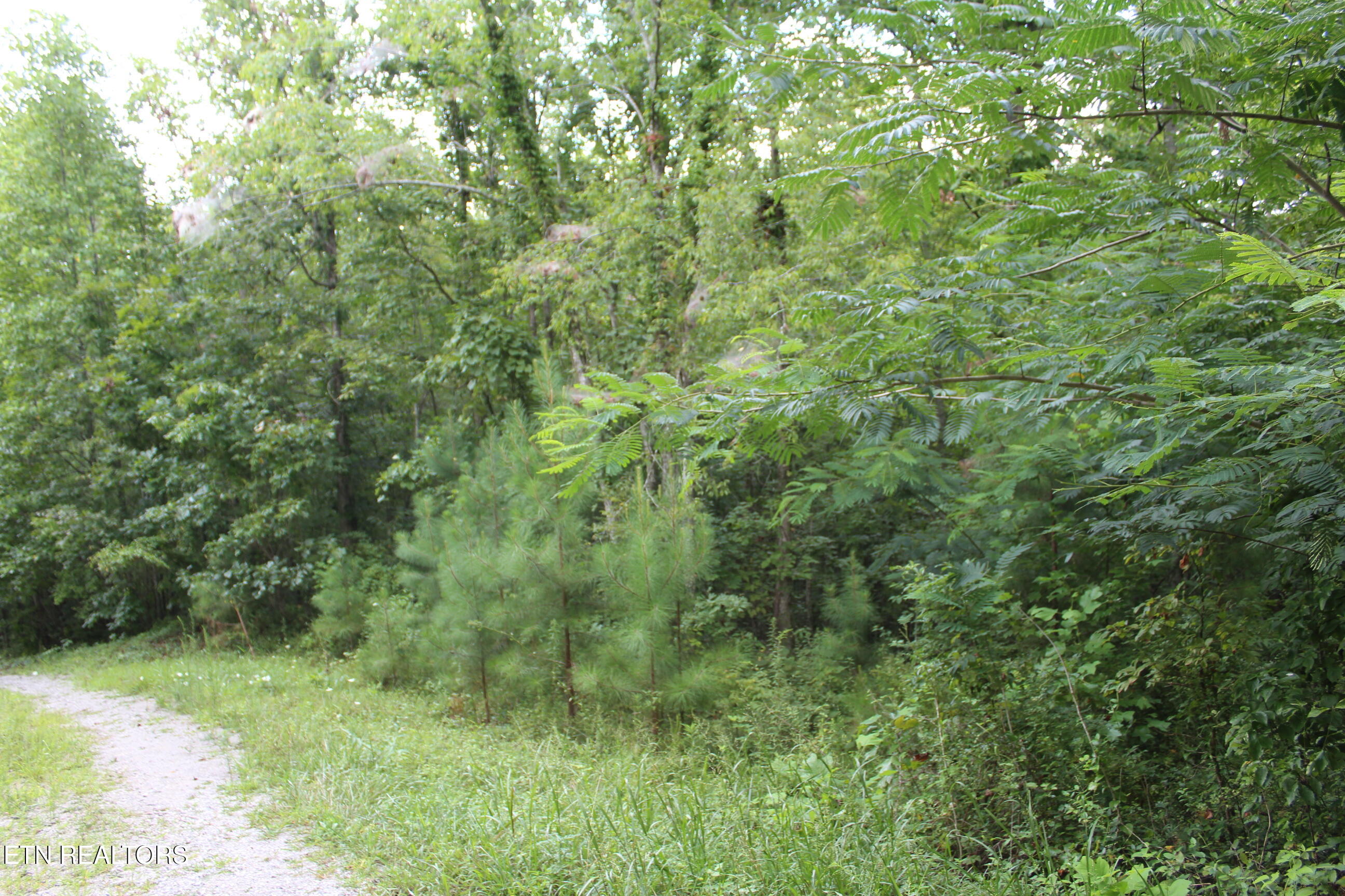 299 Fair Oaks Lane Jamestown TN 38556